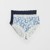 BLUE PAISLEY