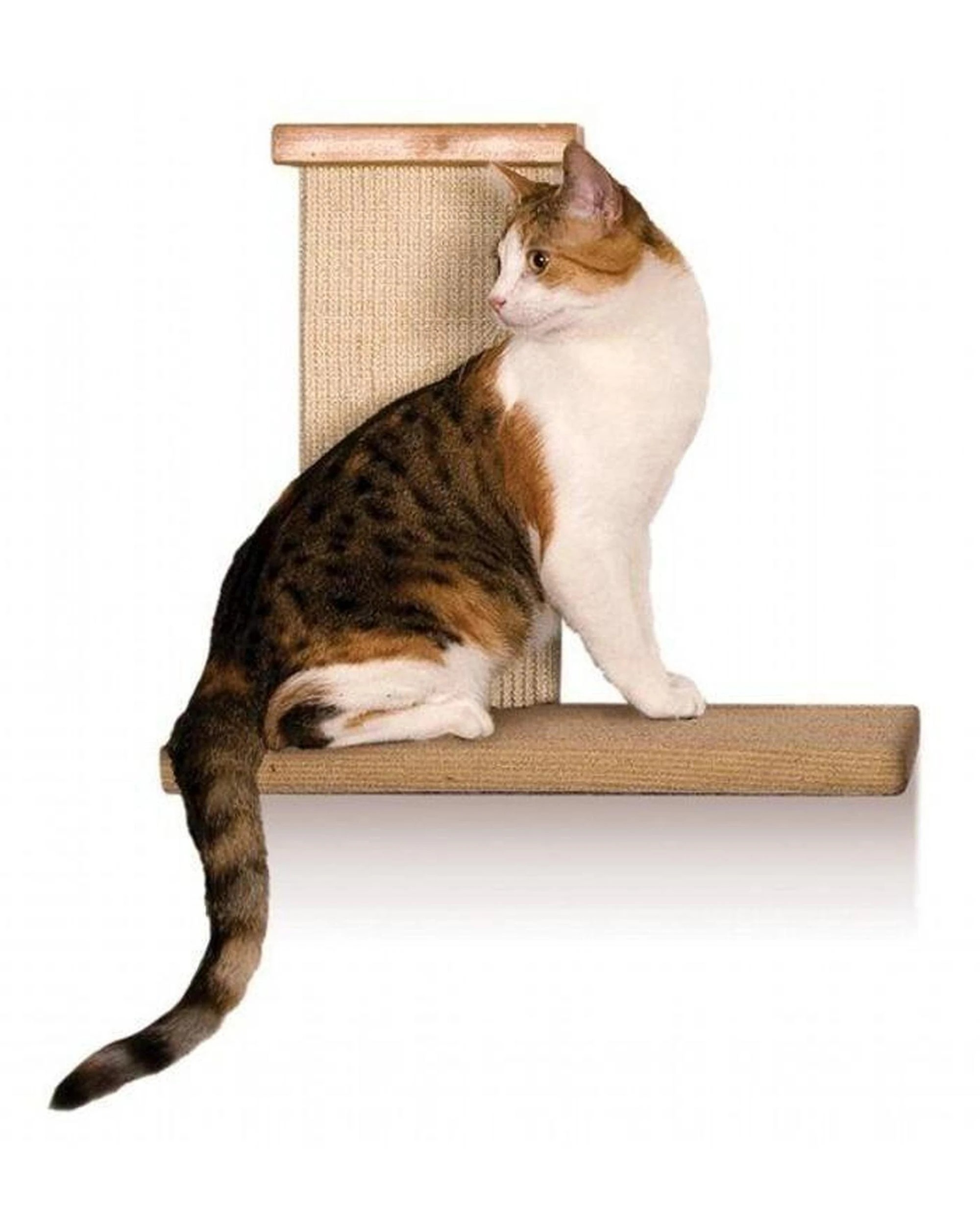 5 SmartCat Sky Climber Wall Mounted Durable Cat Scratching Post, 5 of 6