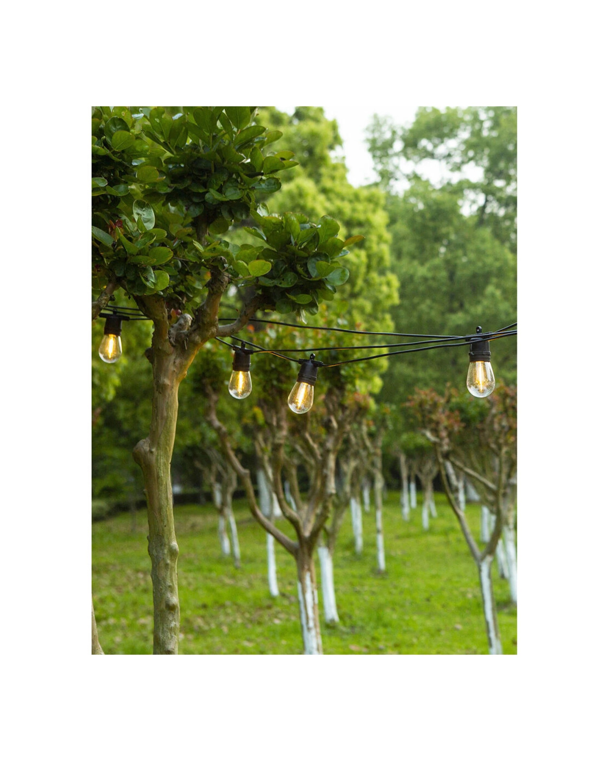 7 LumiFX 2PK 50 Bulb LED WIFI Smart Indoor & Outdoor Festoon Lights 50m Warm - White, 7 of 7
