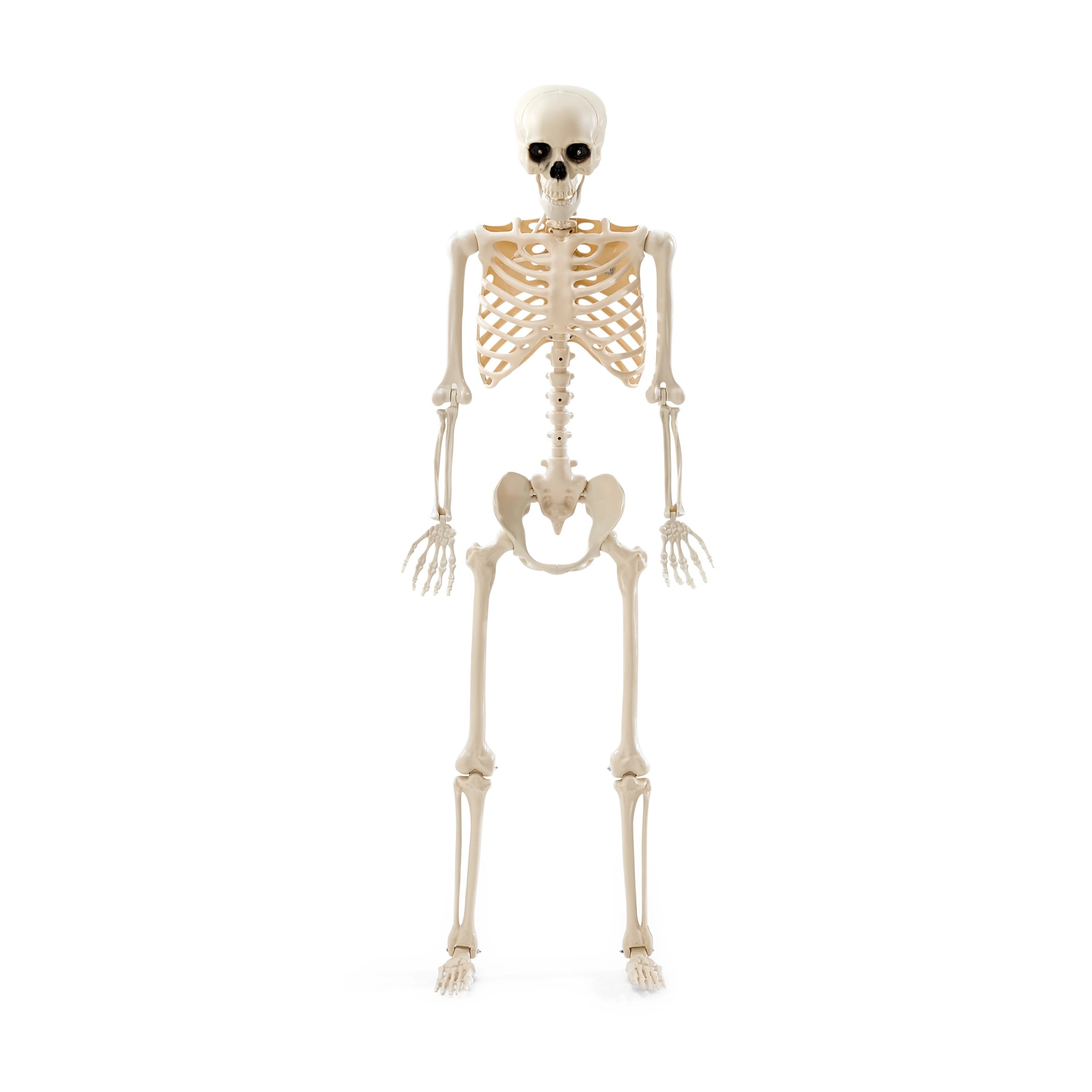 4 Battery Operated LED Light Up Poseable Skeleton, 4 of 9