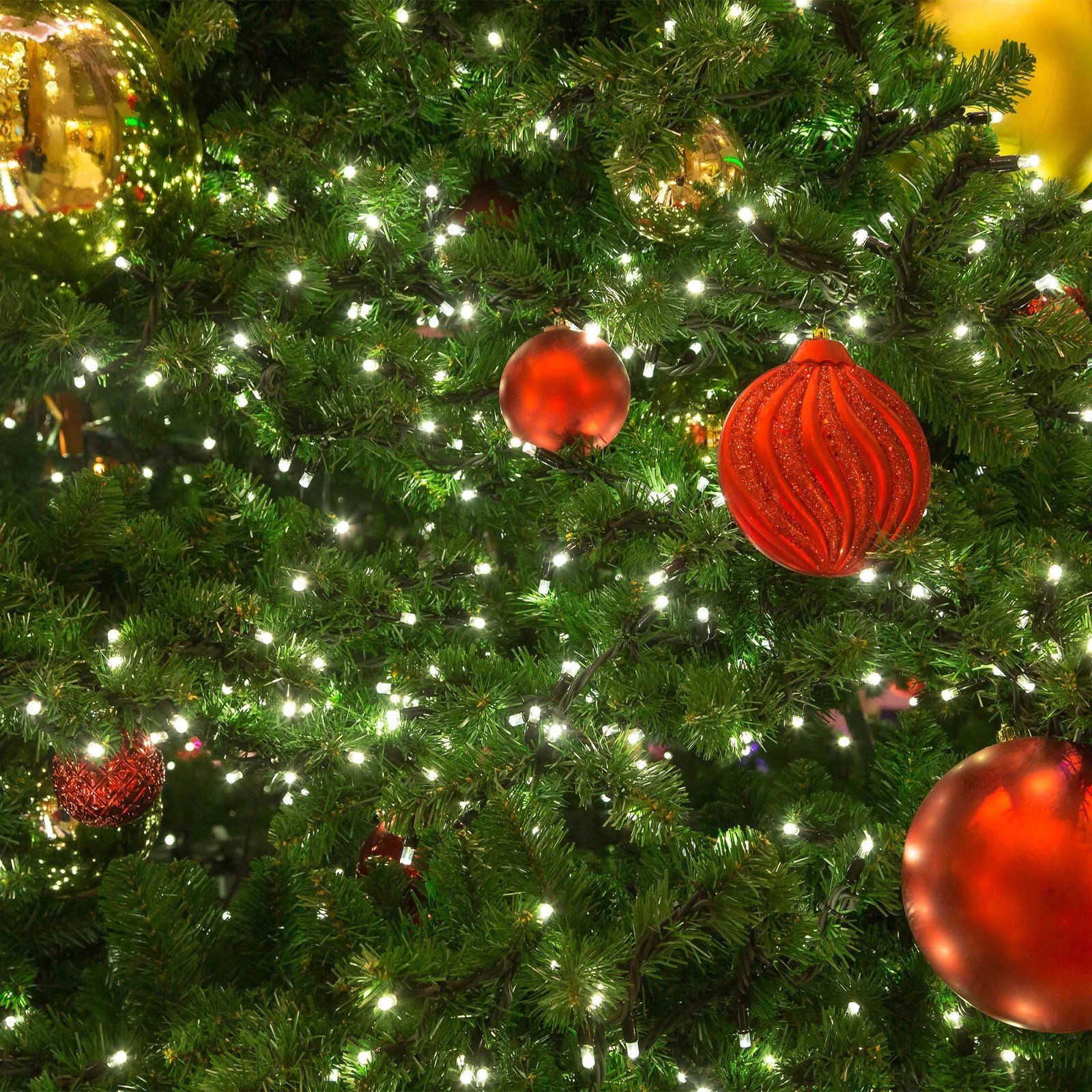 5 Milano Décor Outdoor LED Plug In Fairy Lights 200 Lights - White, 5 of 10