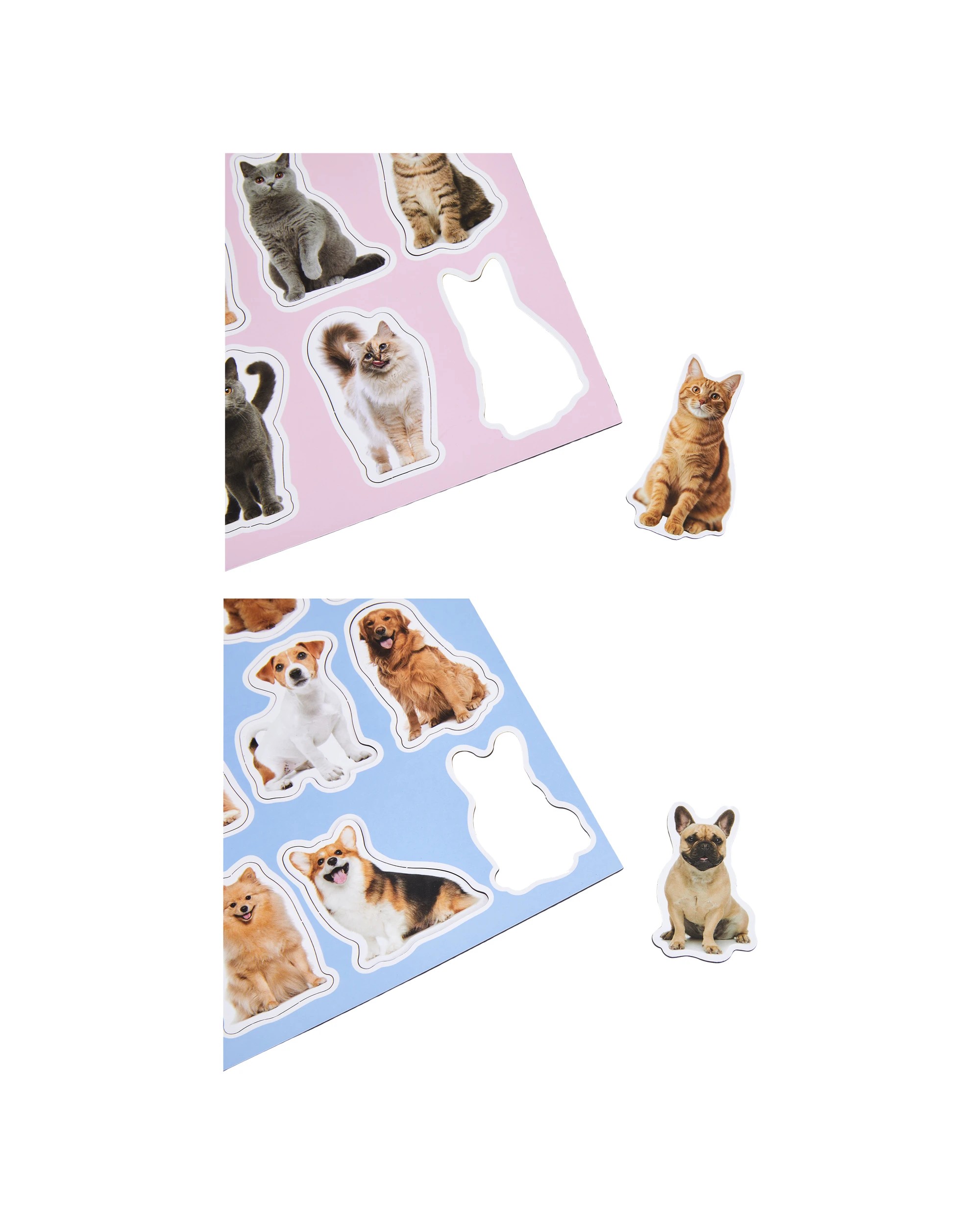 3 Magnets - Assorted, 3 of 3