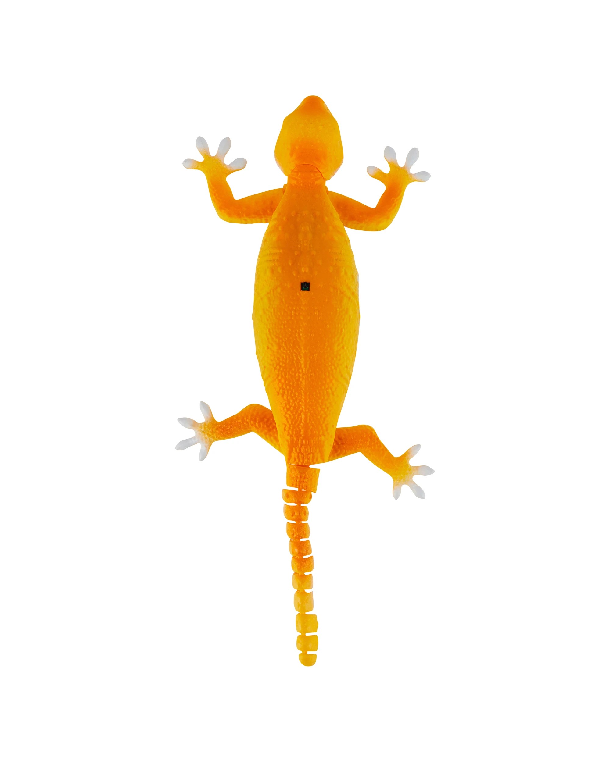 5 Remote Control Gecko, 5 of 8