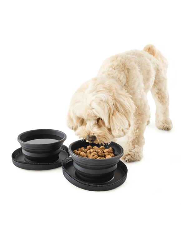 Pet Twin Travel Silicone Bowl