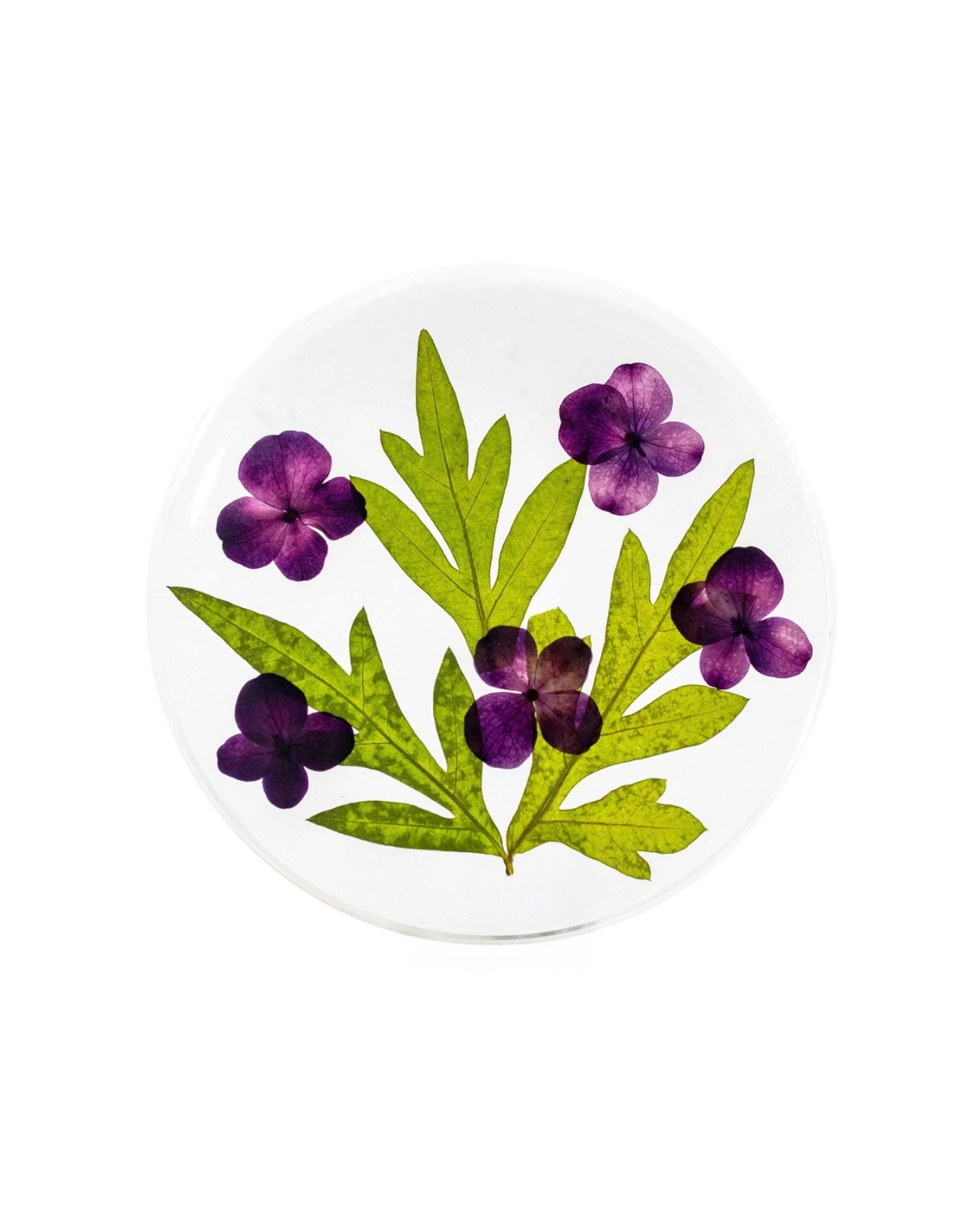 1 Leni Handcrafted Floral Resin Coaster With Real Flowers 10x10x0.6cm - Natural, 1 of 1