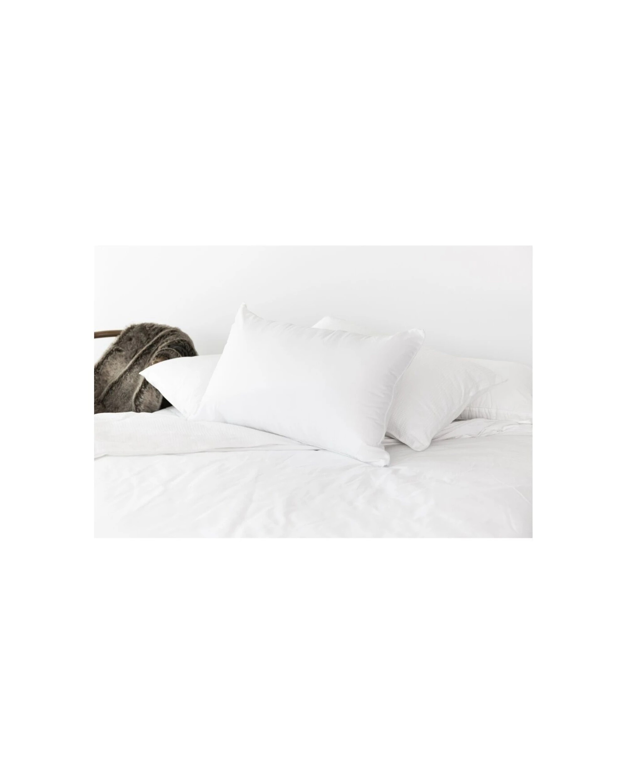 3 Tontine Allergy Plus Stain Ease Pillow Medium Firm Athsma Friendly Standard 4PK - White, 3 of 3
