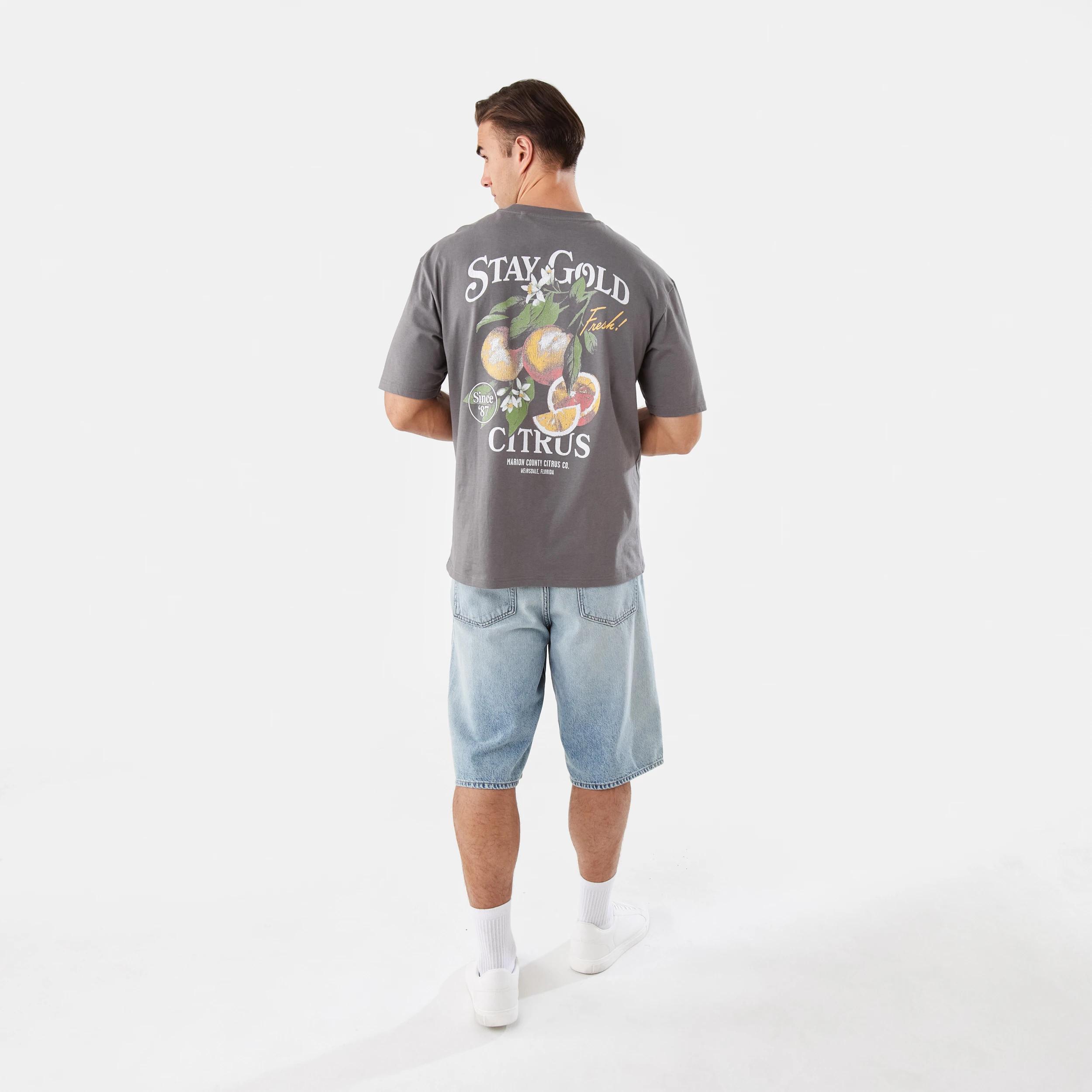 4 Oversized Graphic T-shirt Gry Citrus, 4 of 7