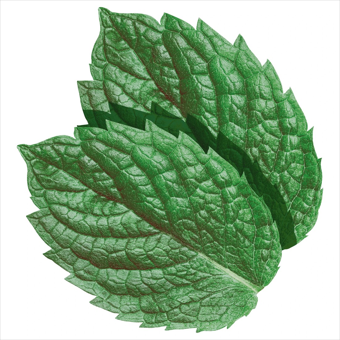 5 3 Pack Value Wrigley's Extra Spearmint Sugar Free Chewing Gum 81g, 5 of 5