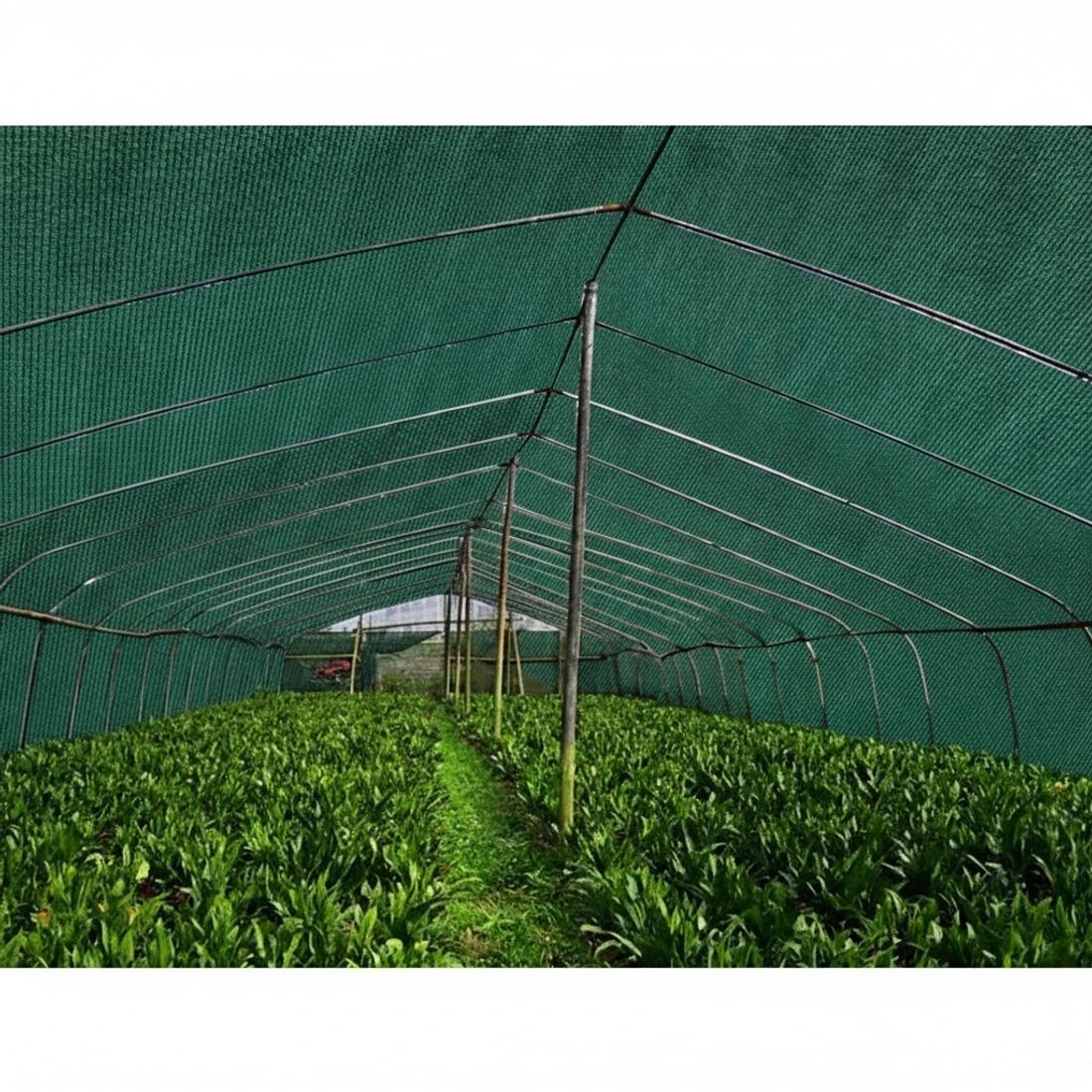 4 Instahut 70% Shade Cloth 1.83x30m Shadecloth Sail Heavy Duty - Green, 4 of 5