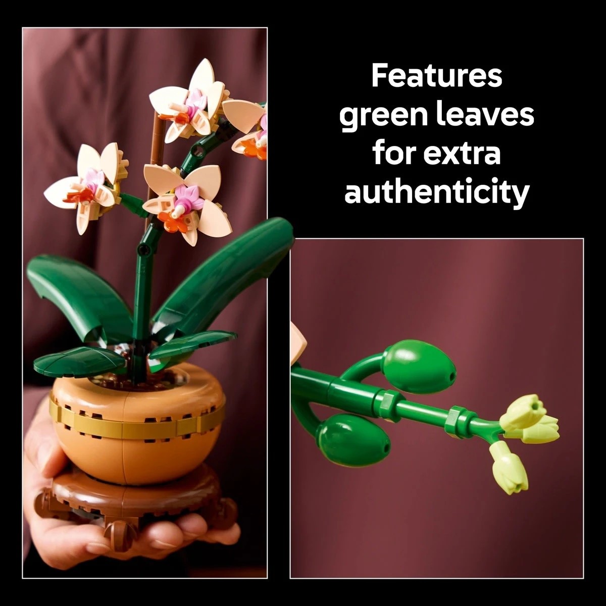 7 LEGO Botanicals Mini Orchid 10343, 7 of 10