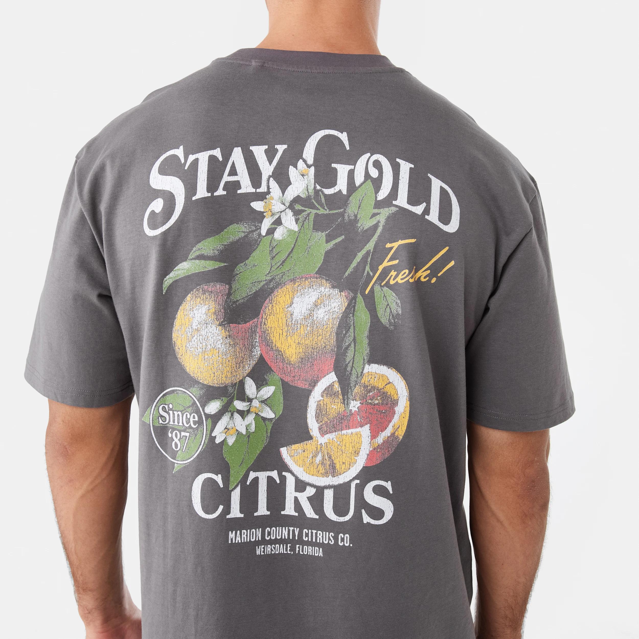 6 Oversized Graphic T-shirt Gry Citrus, 6 of 7