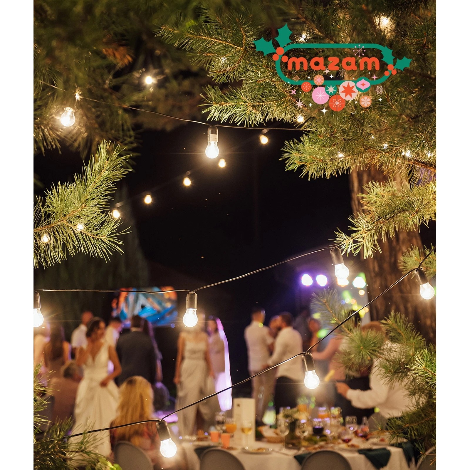 8 Mazam 80M Festoon String Lights LED Christmas - Black, 8 of 10