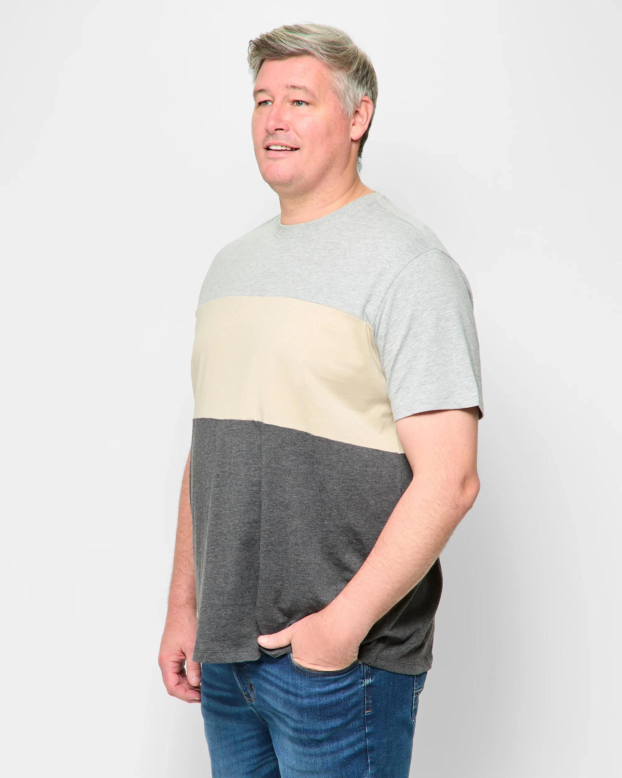 3 Target Plus Size Australian Cotton Blend Panel T-Shirt ALLOY, 3 of 5