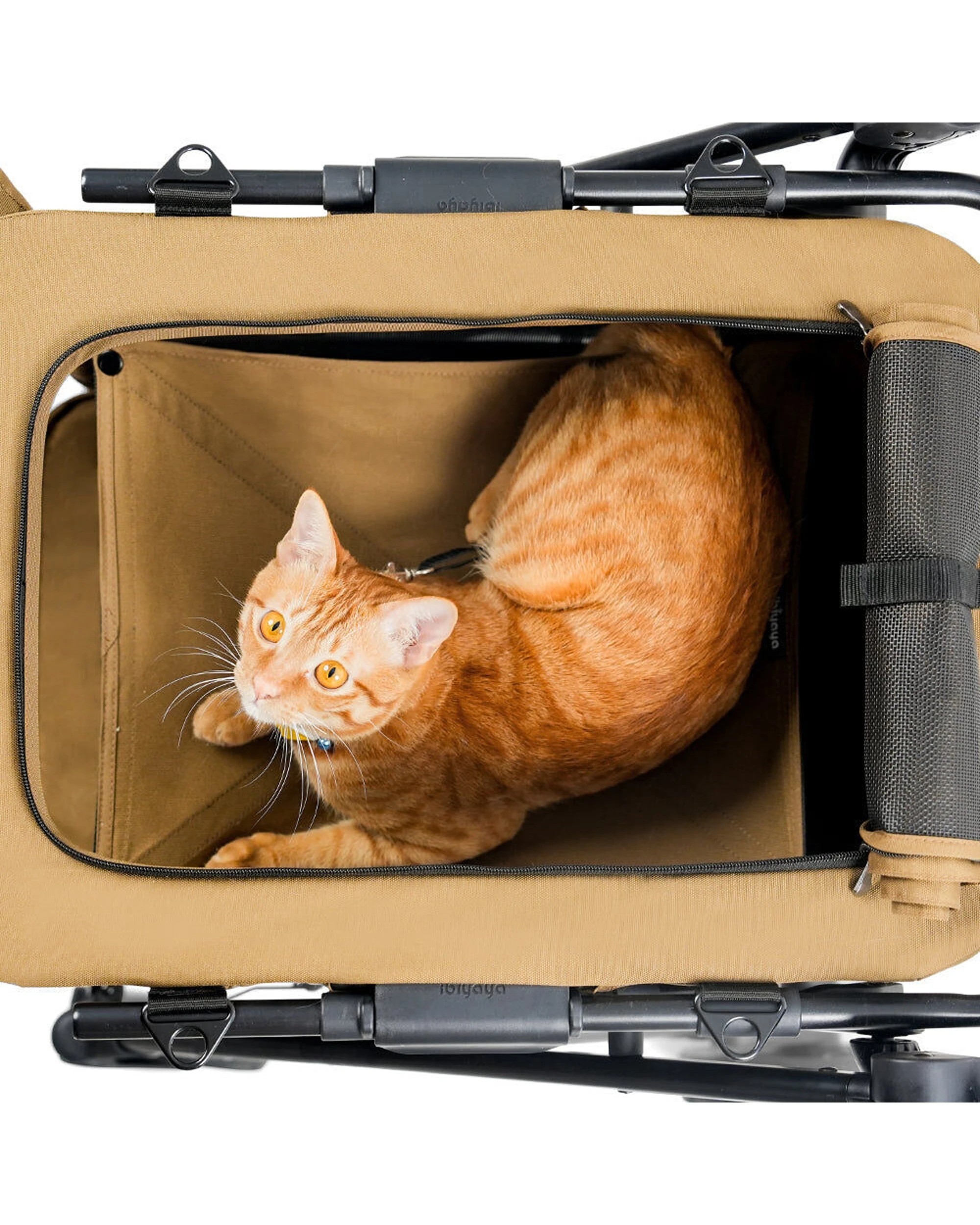 6 Ibiyaya Bigbuddy Folding Pet Stroller Crate Carrier Combo For Large Dogs - Beige, 6 of 9