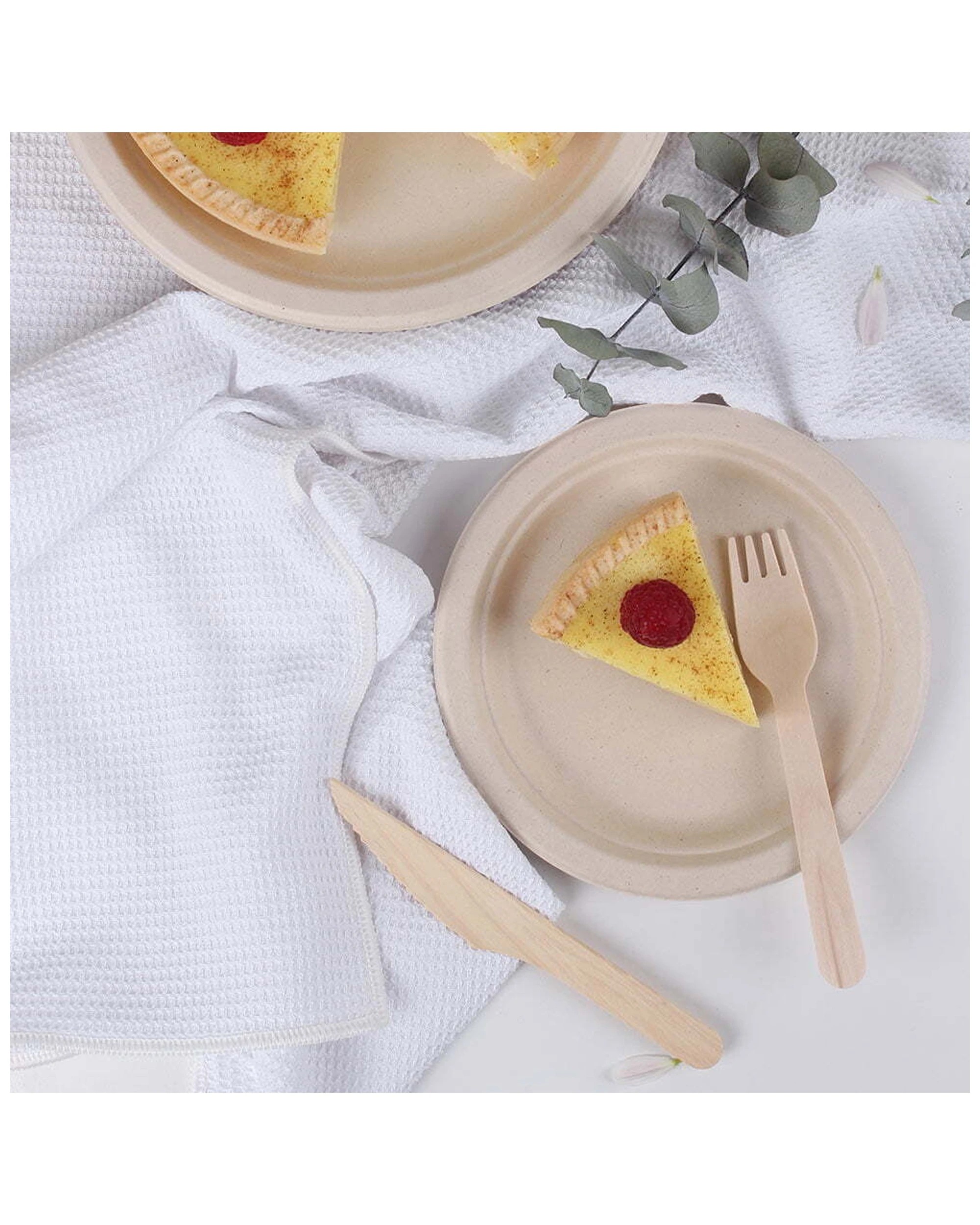 5 18pc Eco Basics 16.5cm Biodegradable Birchwood Fork Disposable Cutlery Untensil
 - Natural, 5 of 5