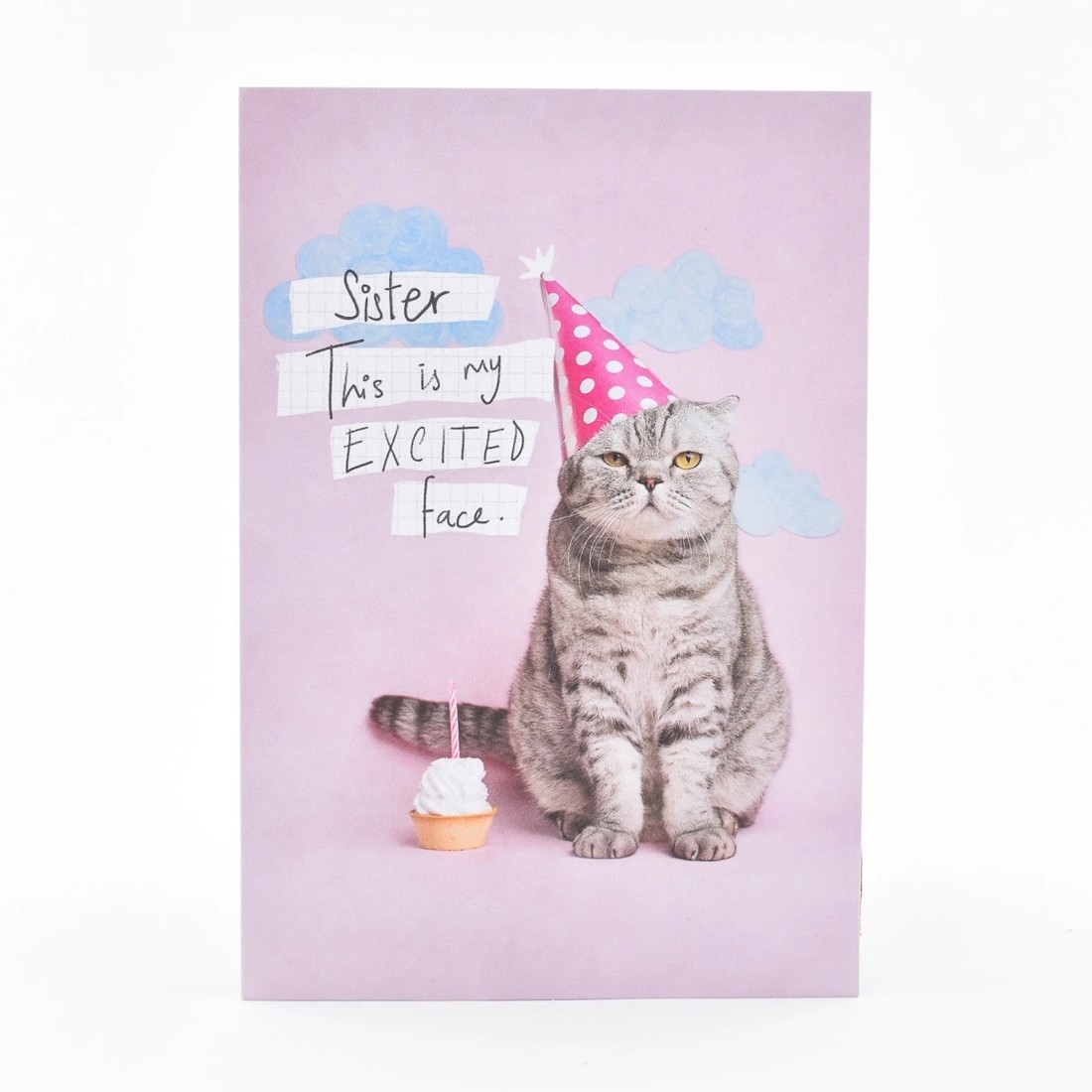 1 Hallmark Birthday Card For Sister - Party Cat, 1 of 3