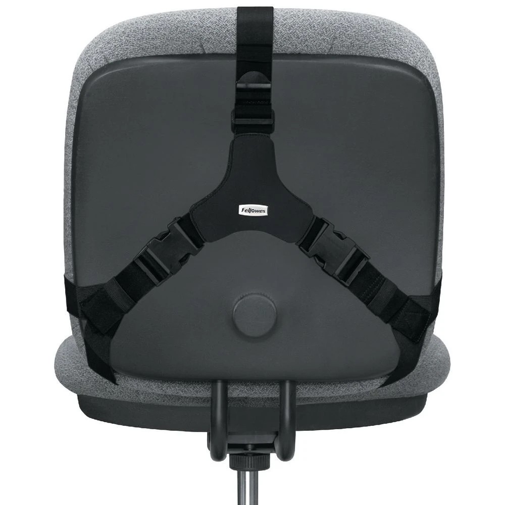 4 Fellowes Professional Back Support, 4 of 6