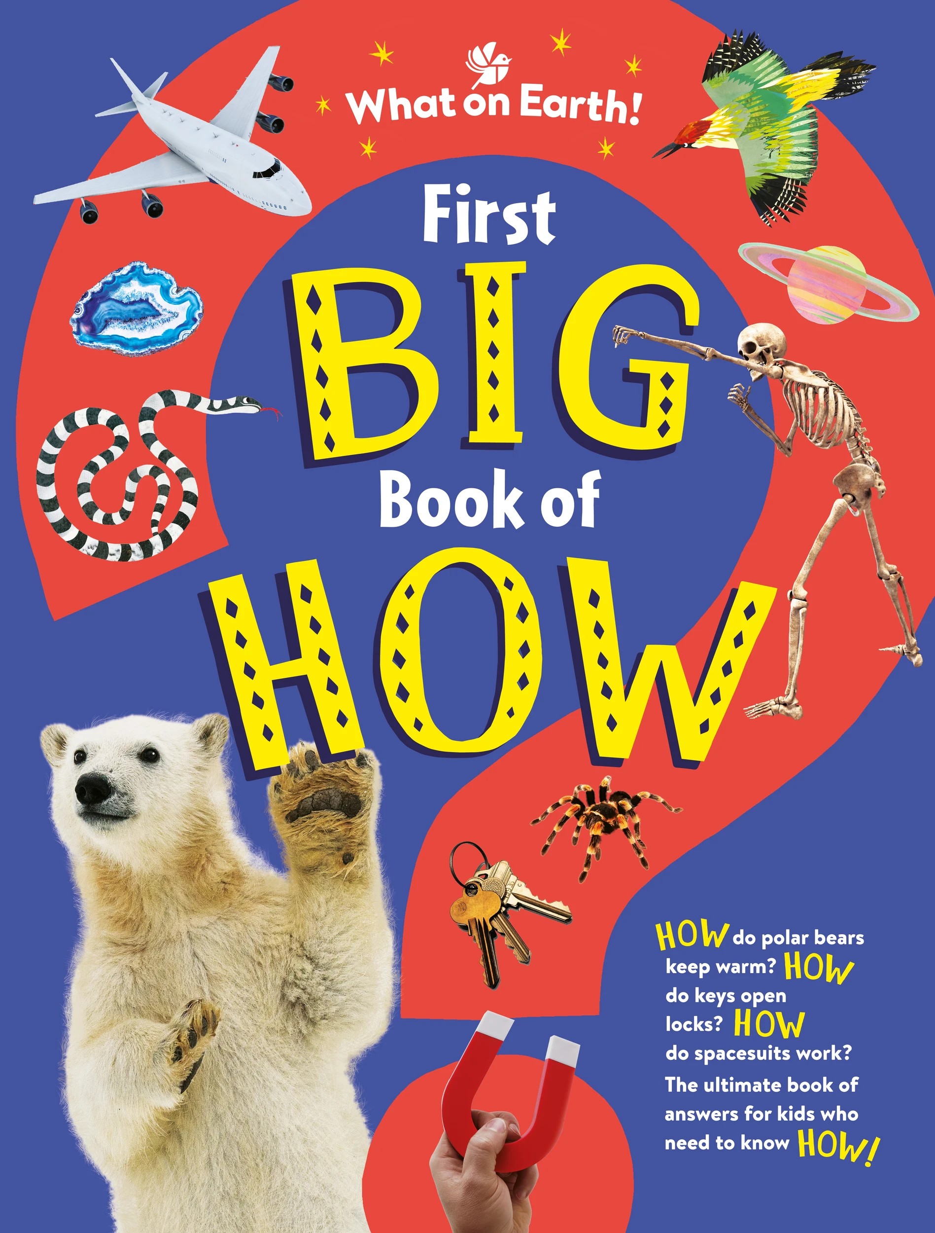 1 First Big Book of How by Sally Symes - Book, 1 of 1