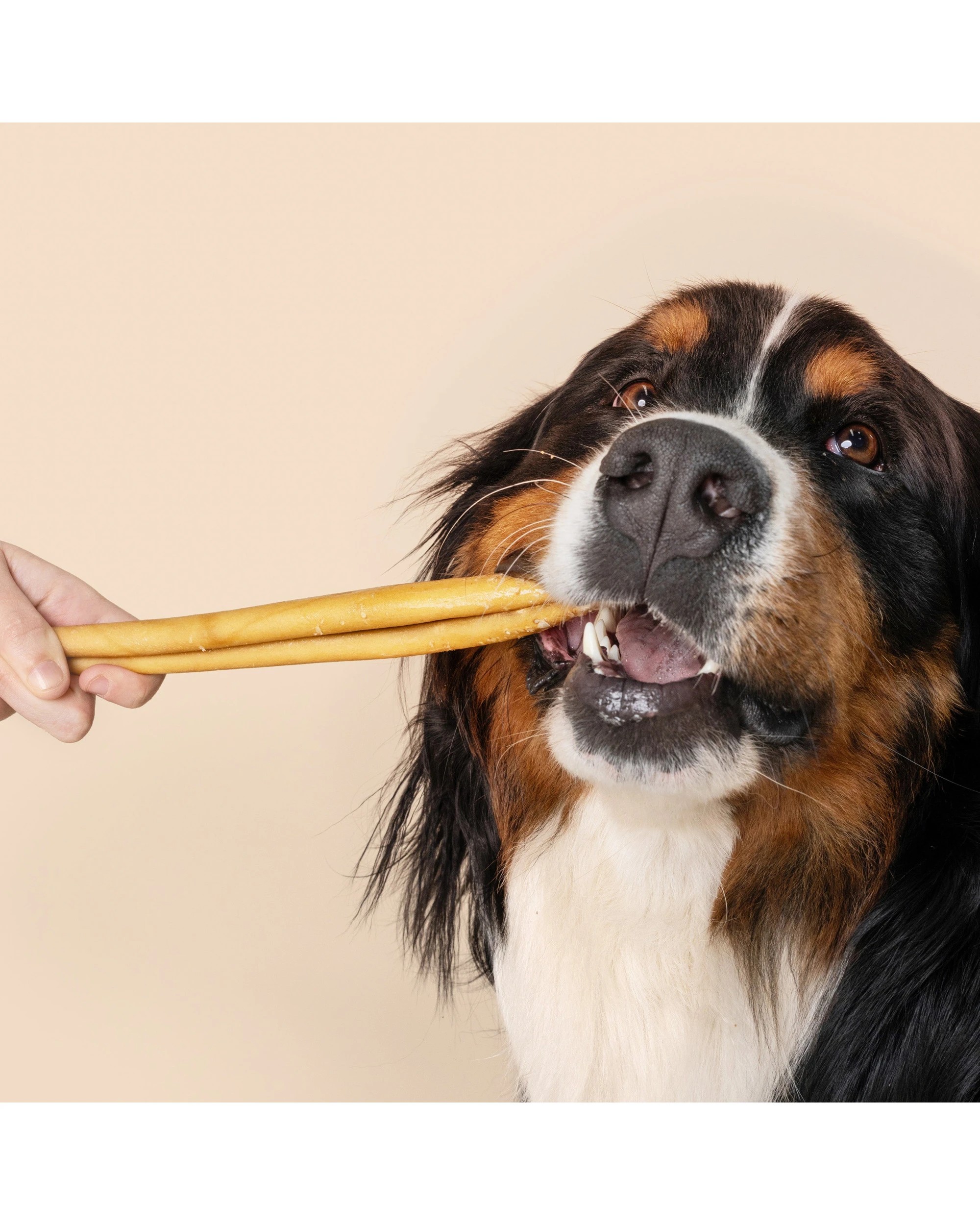 2 WAG Cheek Stick Regular Treats, 2 of 2