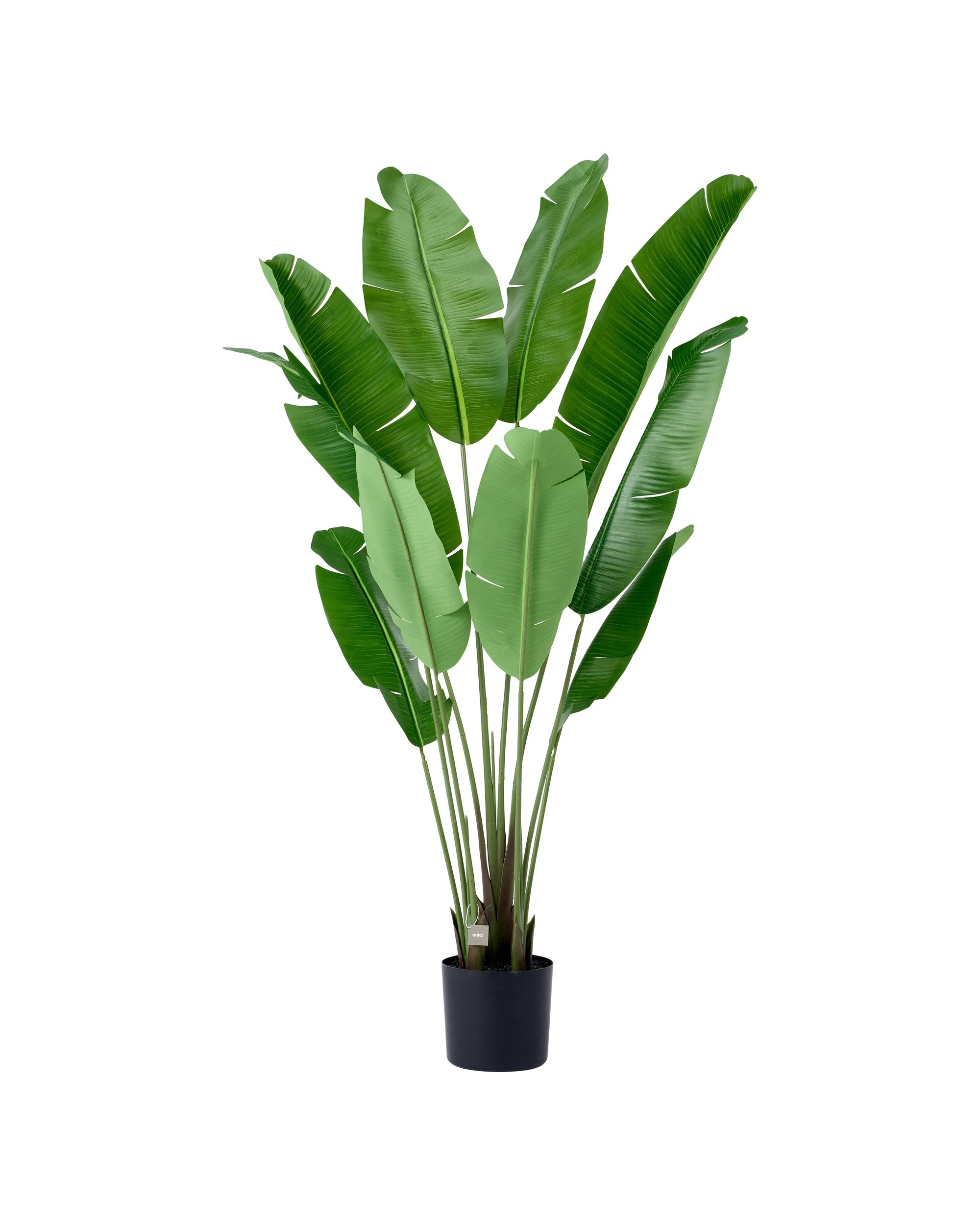 3 Tall Artificial Paradise Plant, 3 of 3