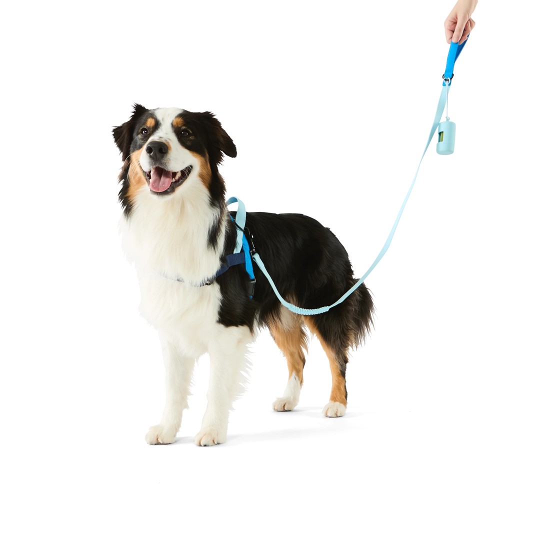 1 Pet Walking Set - Blue, Large, 1 of 5