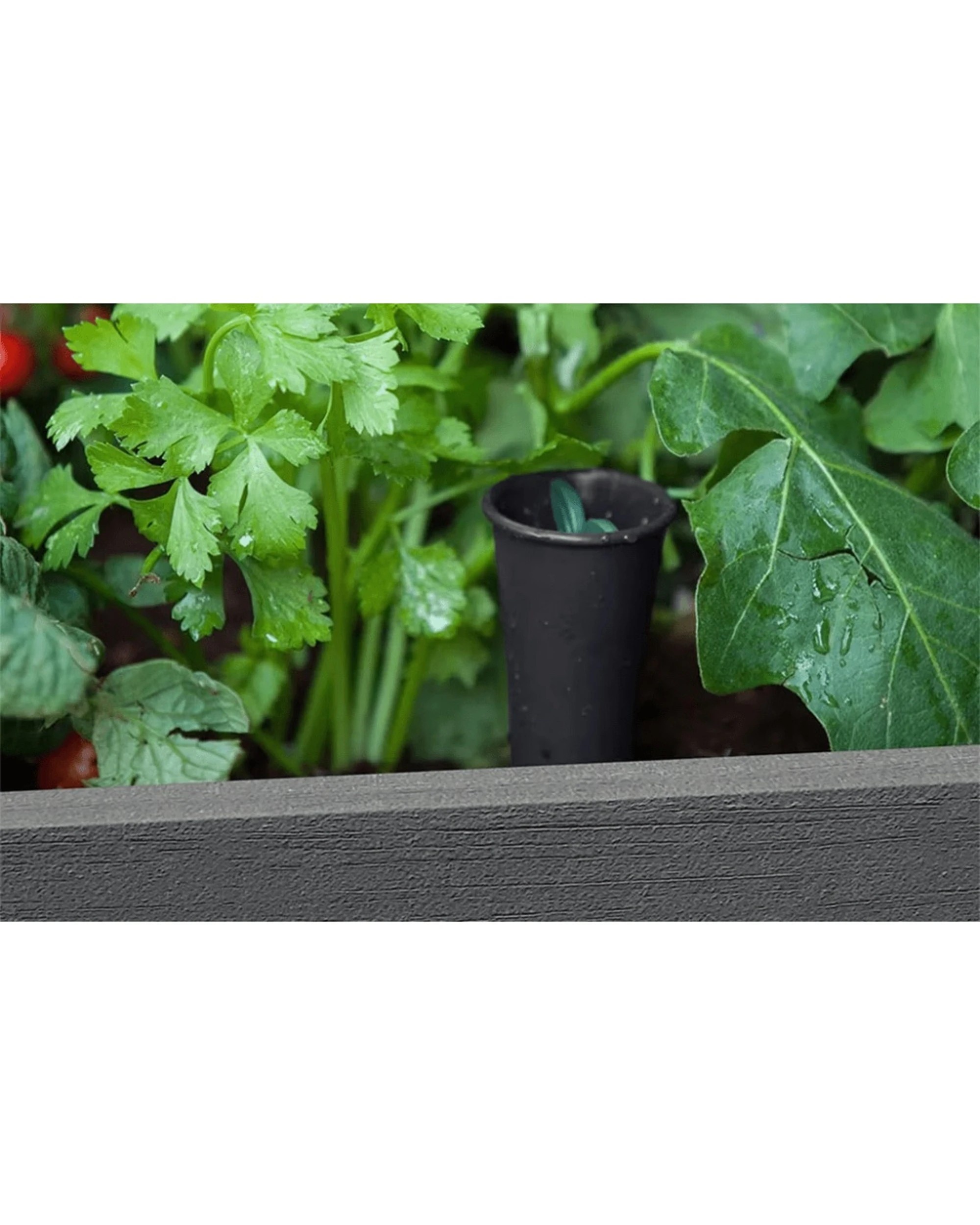 Keter Darwin Raised Garden Bed Self Watering System 110L Capacity ...