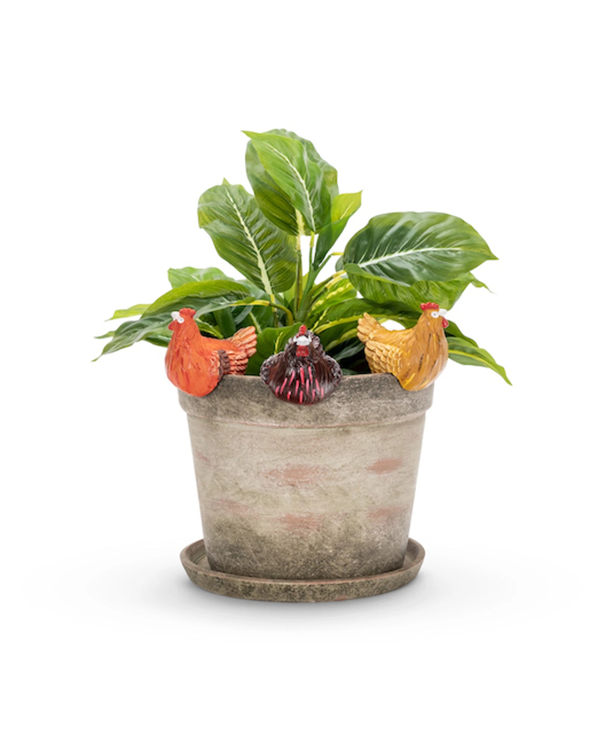 3 Alfresco Chicken 10cm Pot Planter Sitter Ornament Decor Large - Multi, 3 of 3