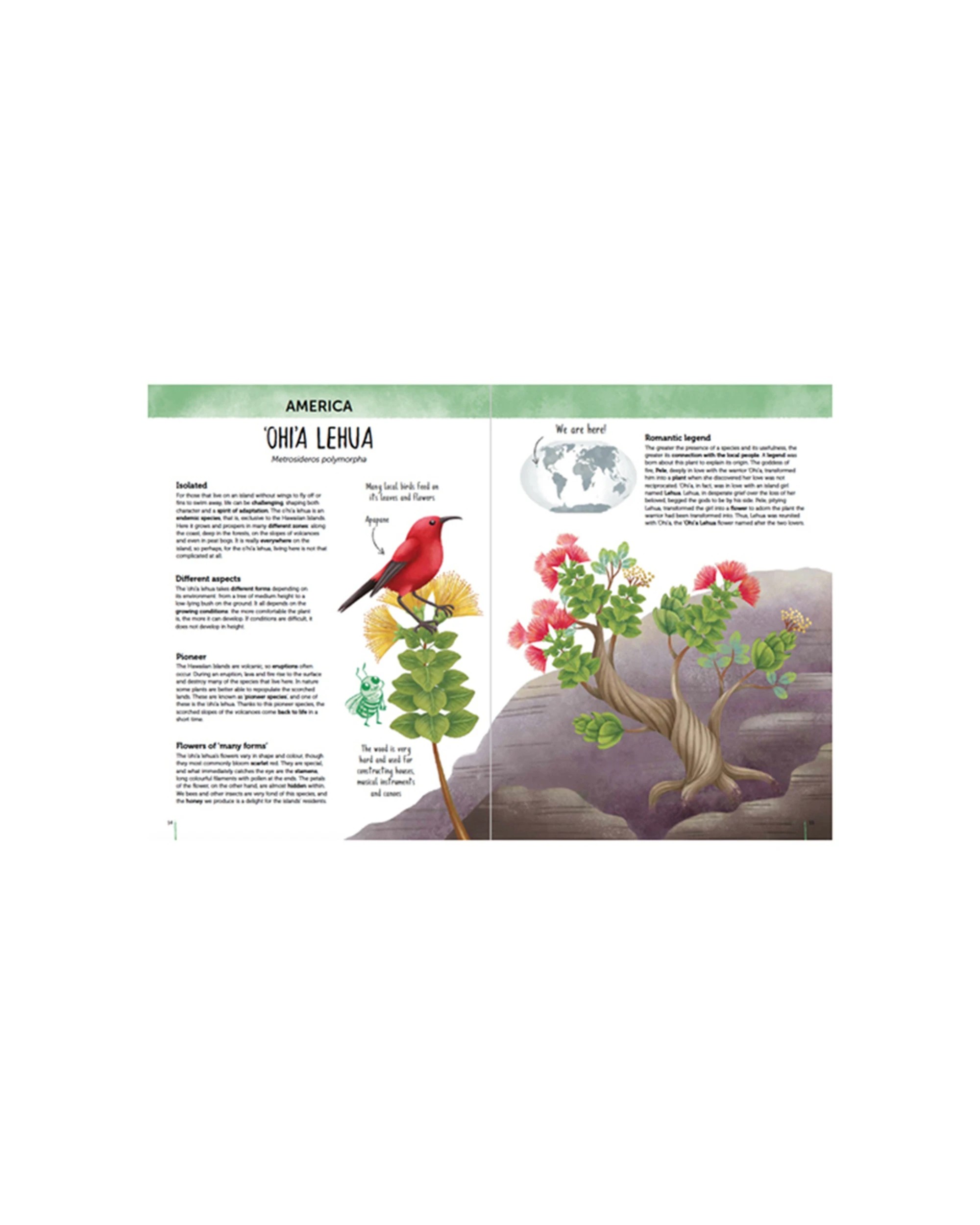 2 Sassi Book Kids Children Atlas Of Biodiversity Flora Of The World - White, 2 of 2