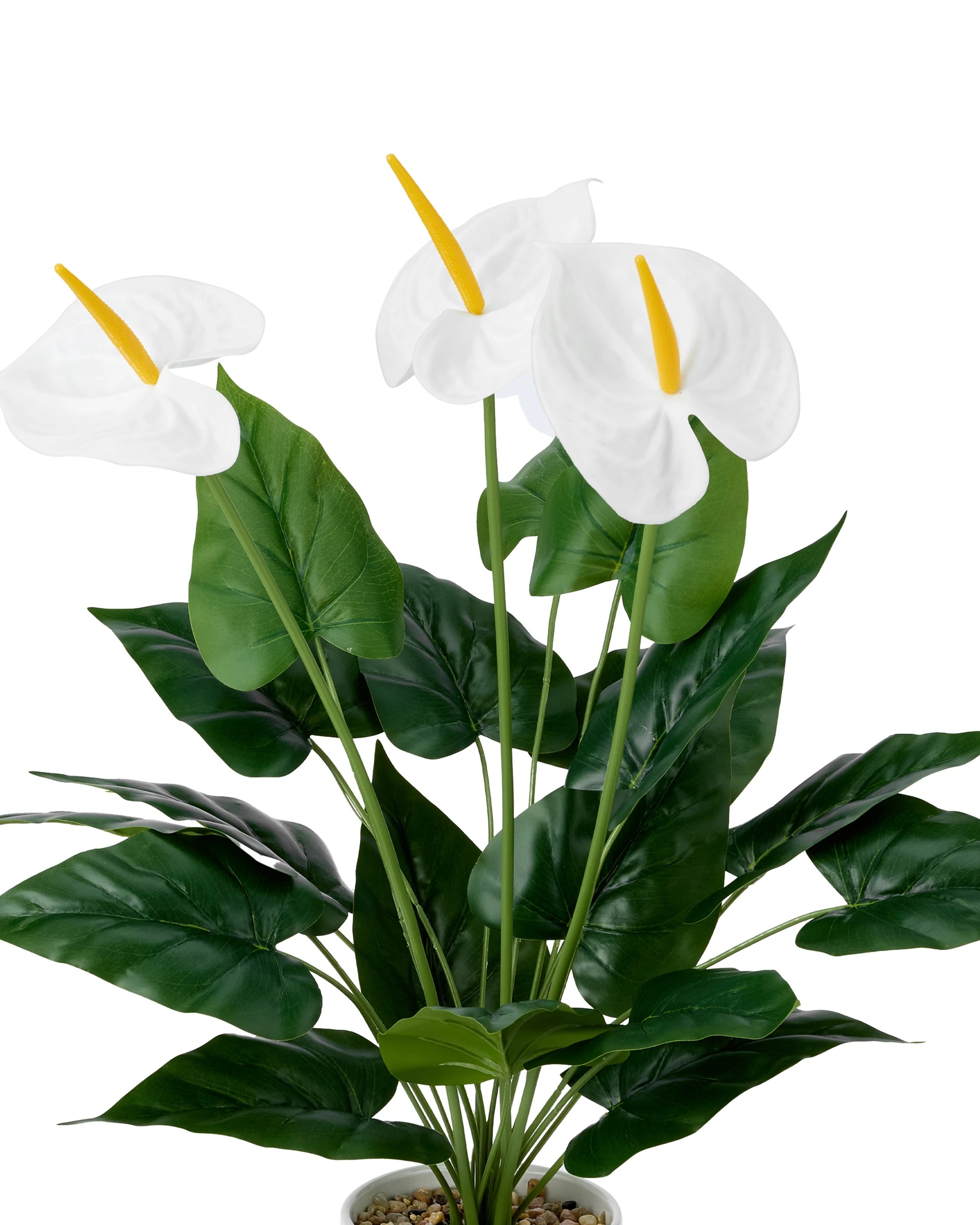 2 Artificial White Anthurium in Pot, 2 of 3