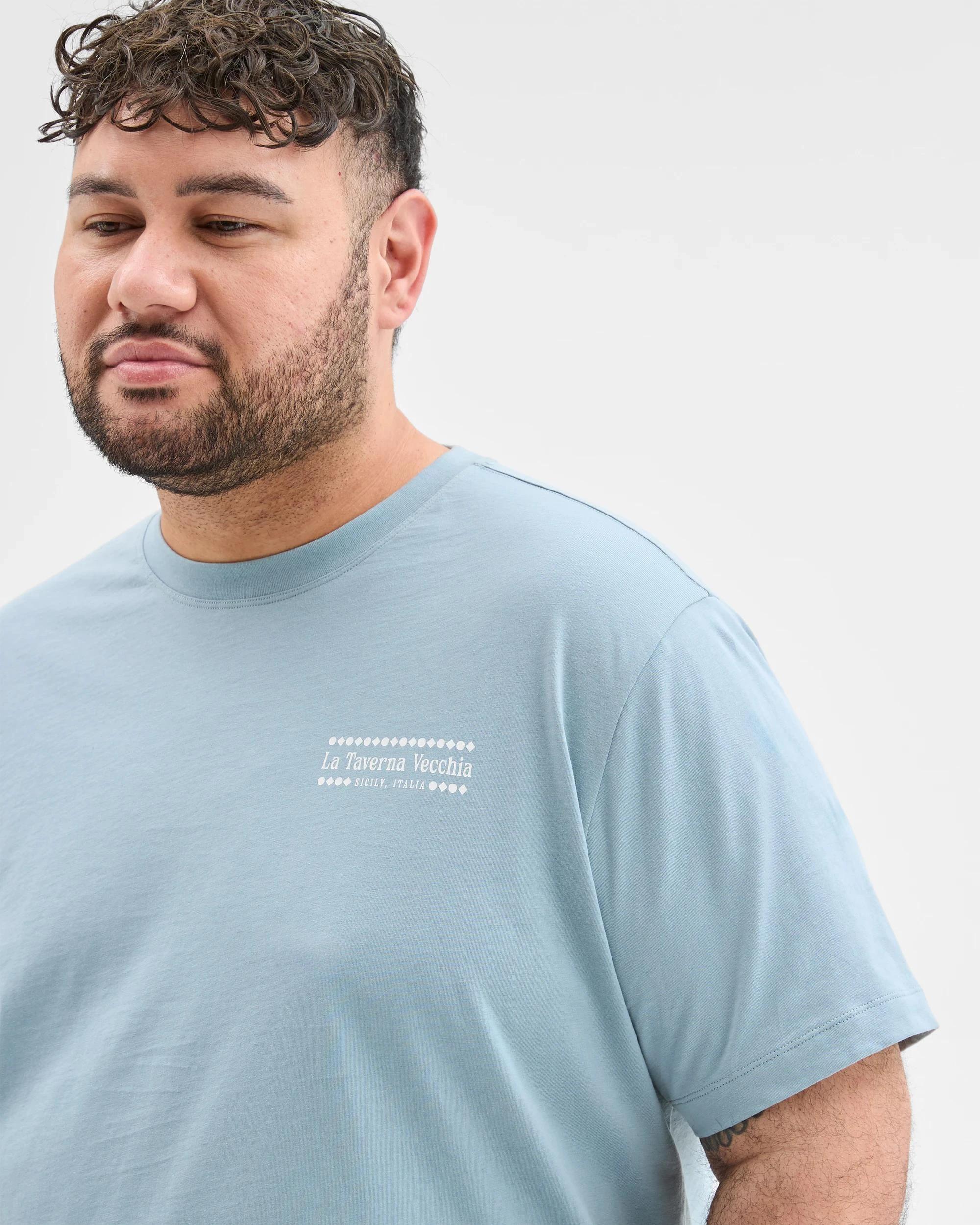 4 Target Man Plus Plus Size Australian Cotton Print T-Shirt DUSTY TEAL, 4 of 5