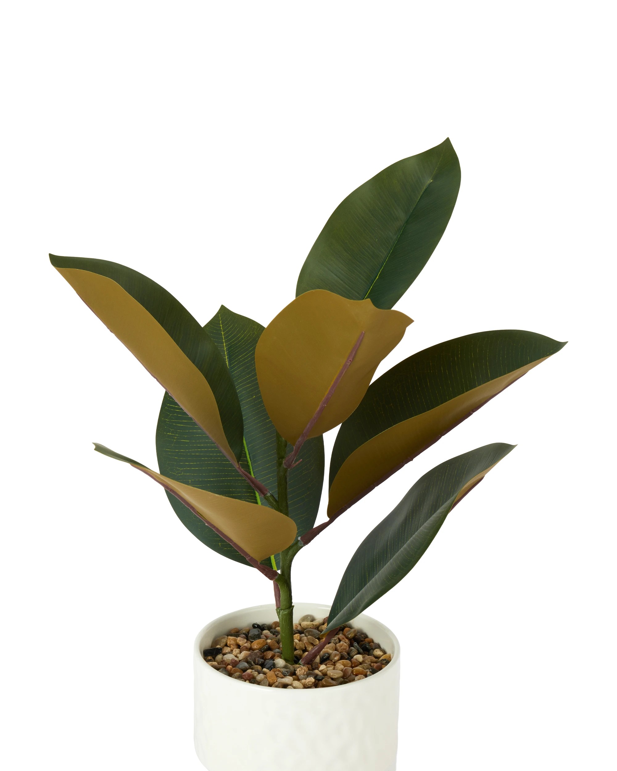 2 Artificial Rubber Plant in Textured Pot, 2 of 3