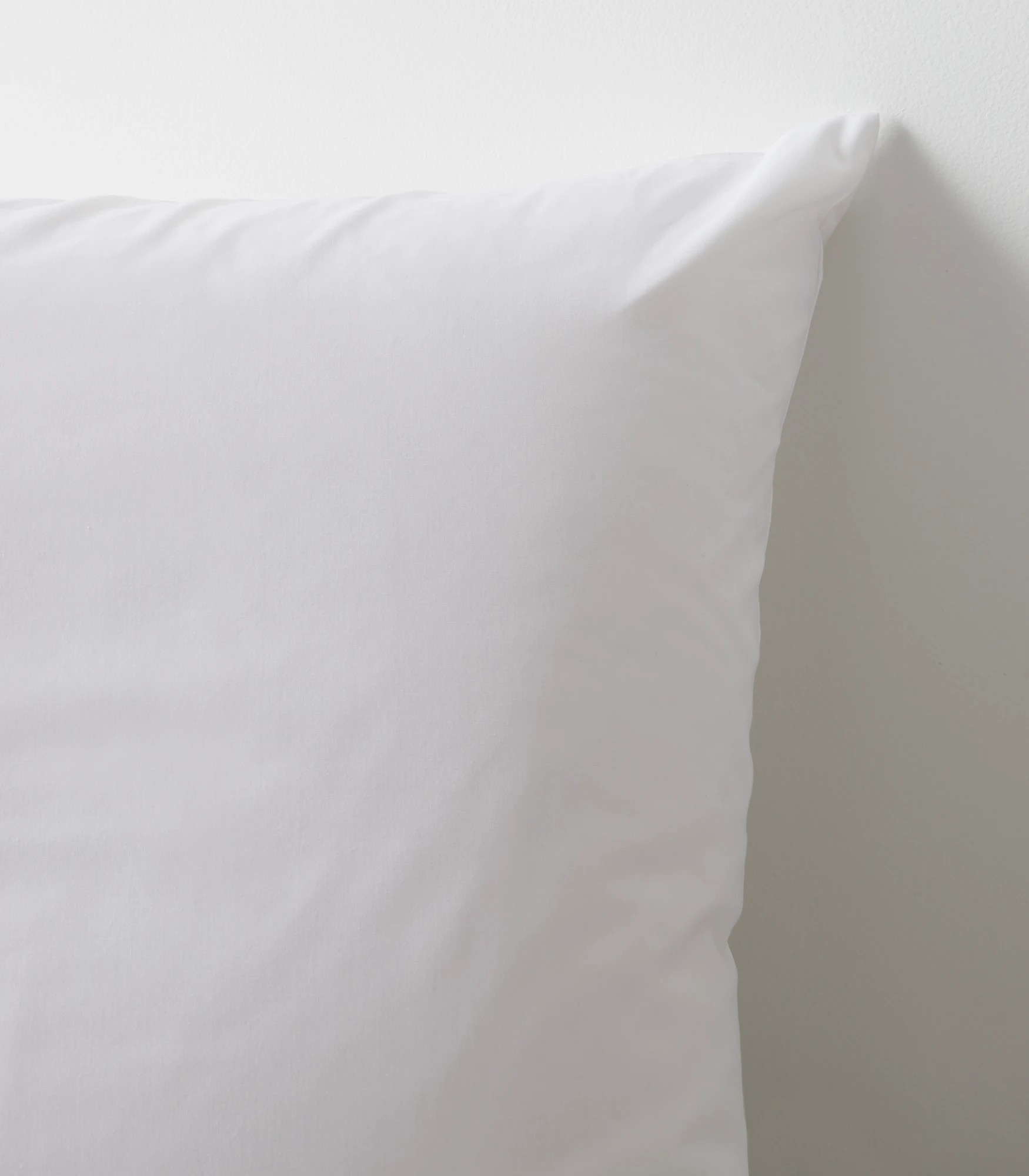 2 Target Australian Cotton 250 Thread Count European Pillowcases 2 Pack - One Size - White, 2 of 2