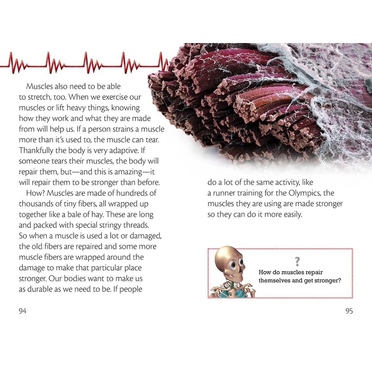 3 Dorling Kindersley A Trip Through The Body, 3 of 4