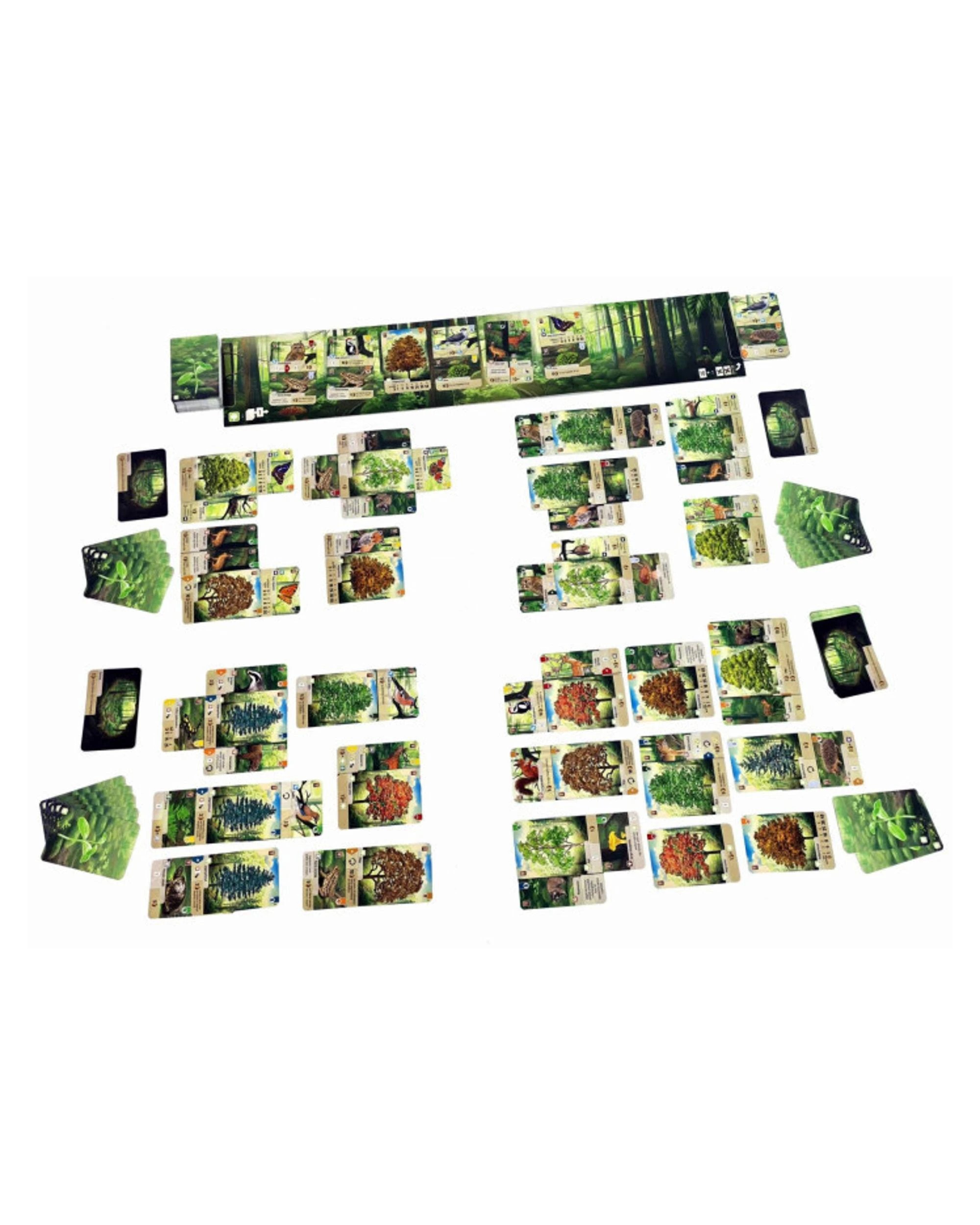 2 Forest Shuffle Card Game, 2 of 2