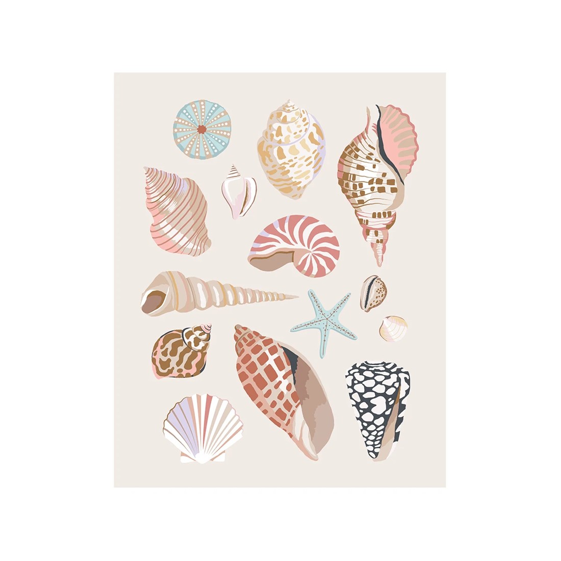 2 Paint By Numbers - Shell, 2 of 4