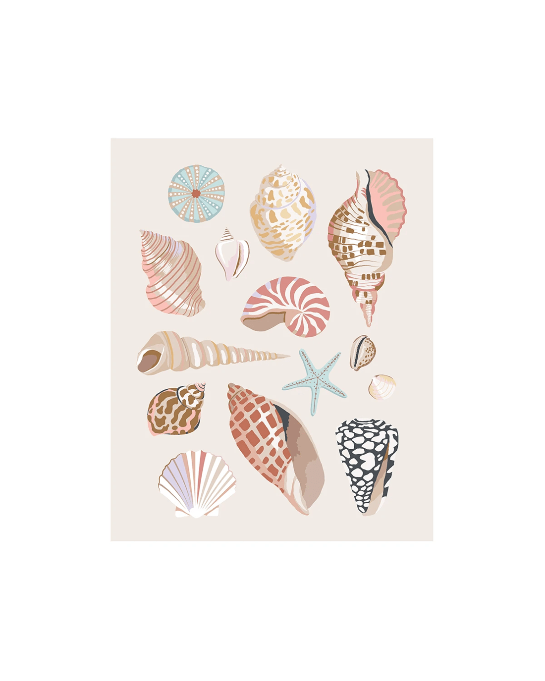 2 Paint By Numbers - Shell, 2 of 4