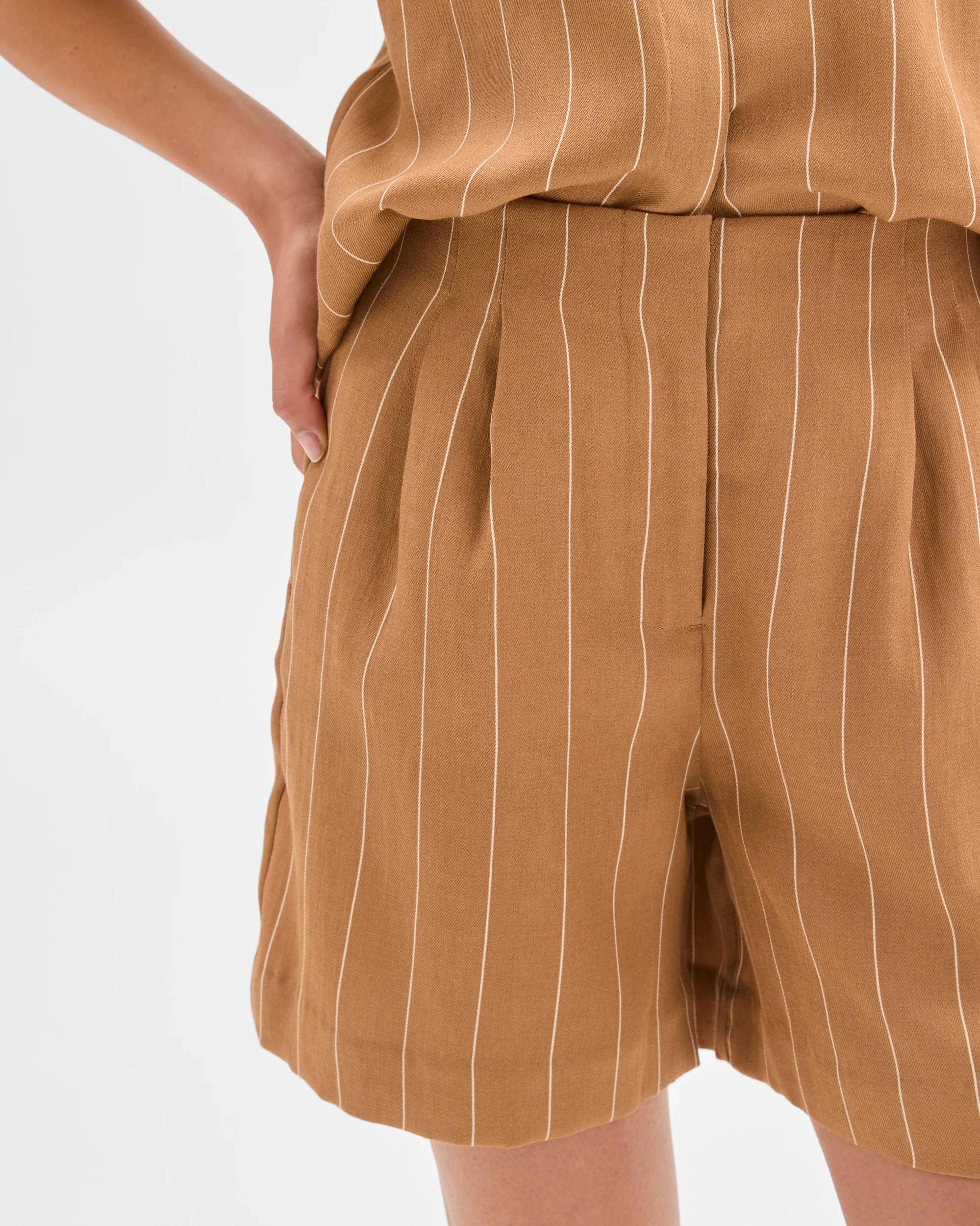 3 Pleat Waist Wide Leg Shorts - Preview CARAMEL STRIPE, 3 of 6