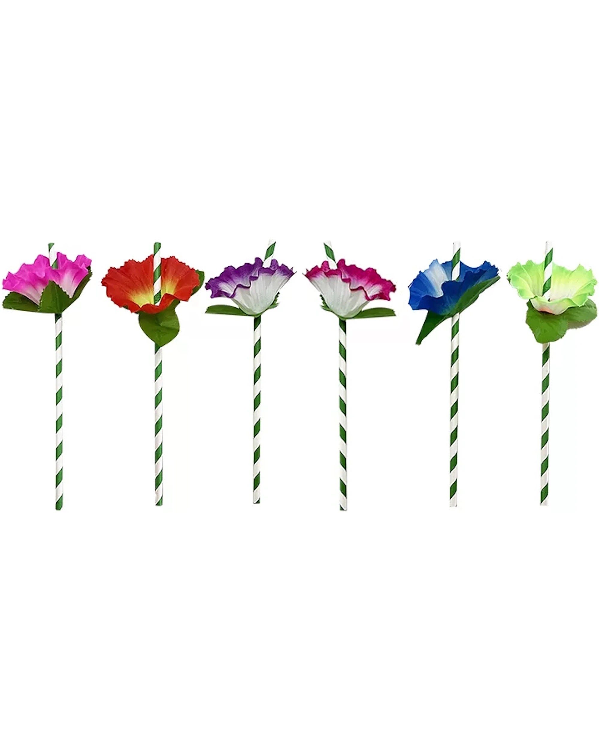1 Party Maker Hawaiian Flower Paper Straws Pack of 6 - Multi, 1 of 4