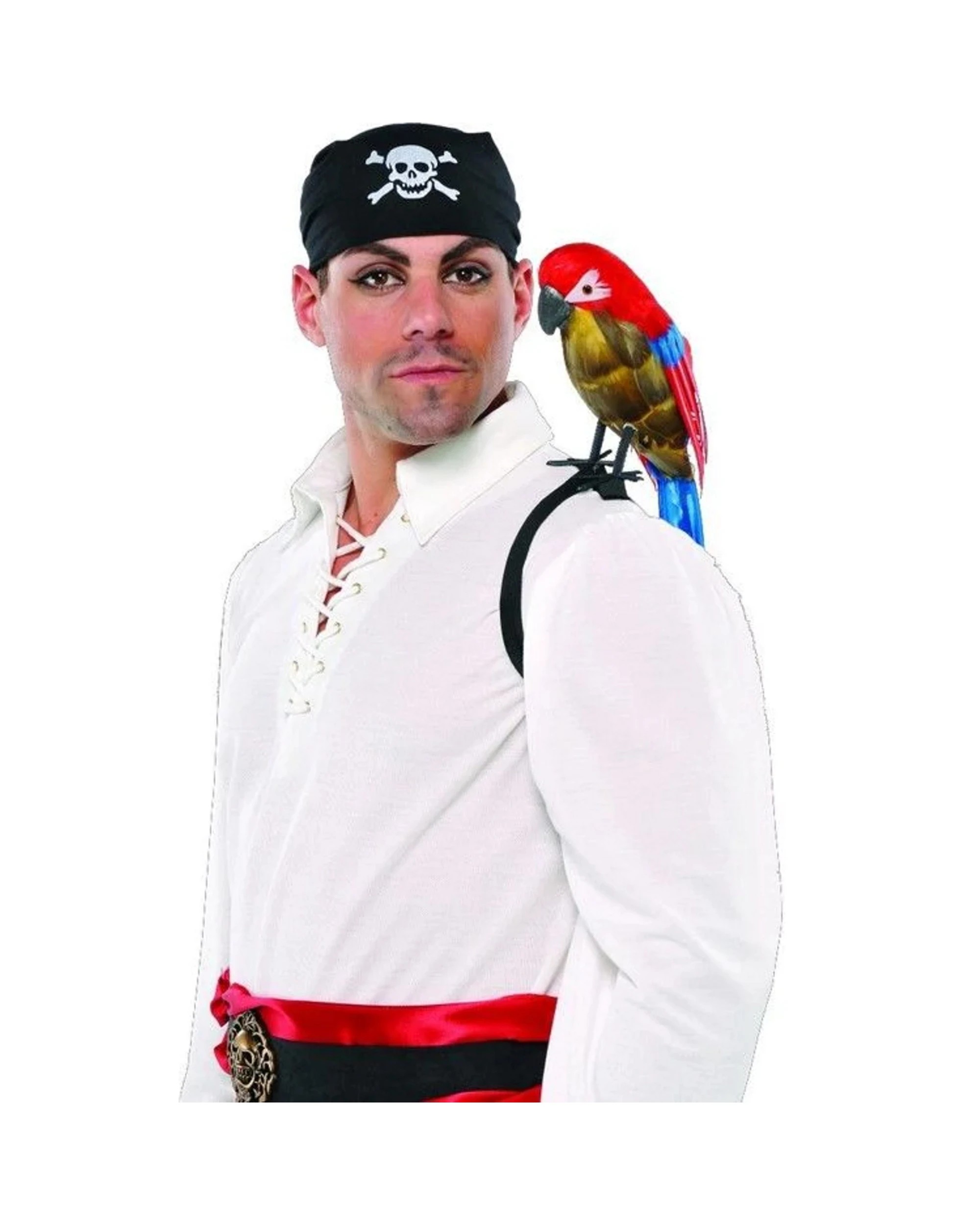 1 Anagram Feathered Pirate Shoulder Parrot, 1 of 1