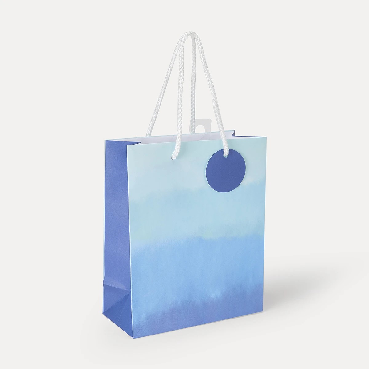 6 Blue Gift Bag - Medium, 6 of 8