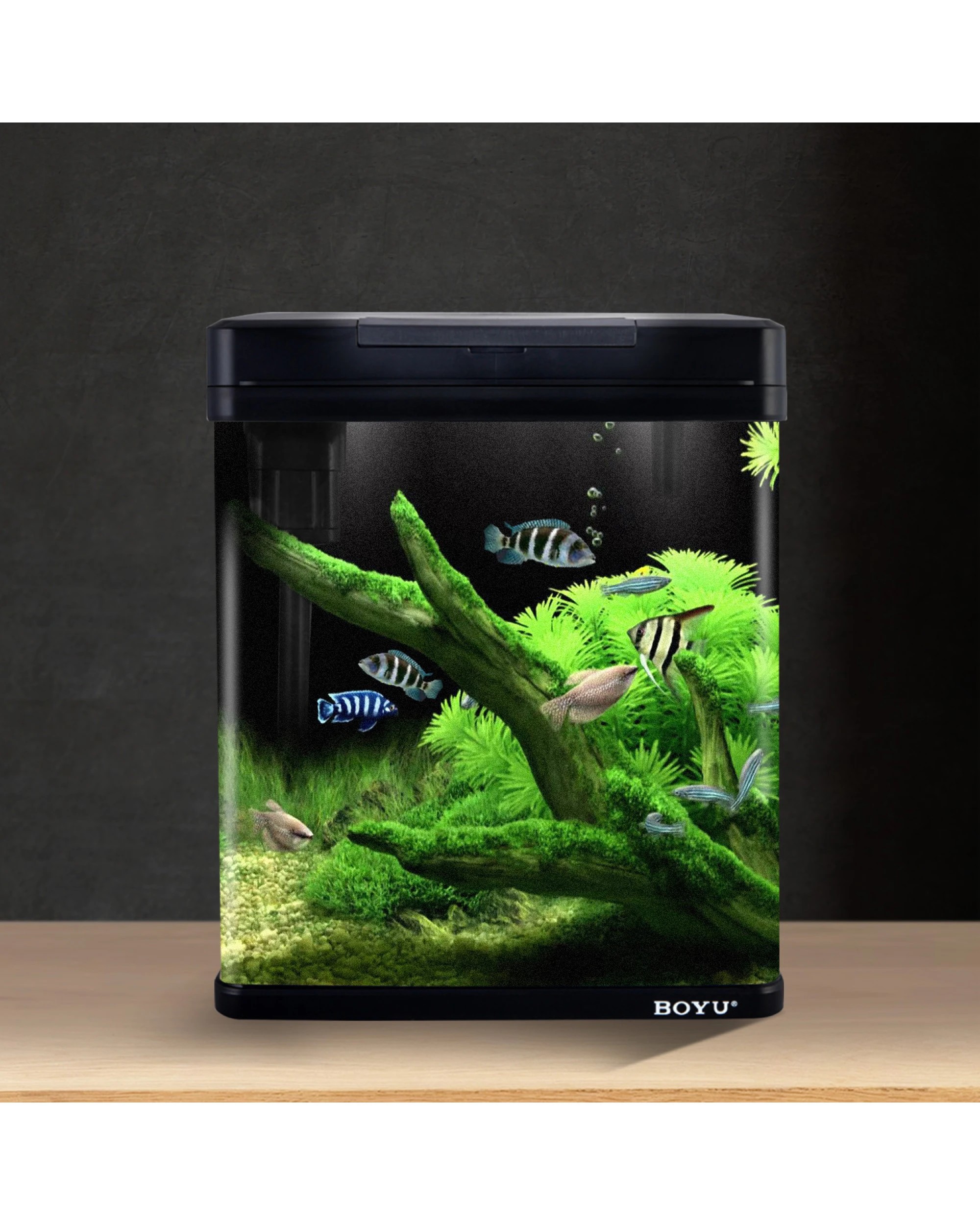 5 BOYU 34L Complete Aquarium Kit With Bio Filter System LED Kit Curved Design - Black, 5 of 5