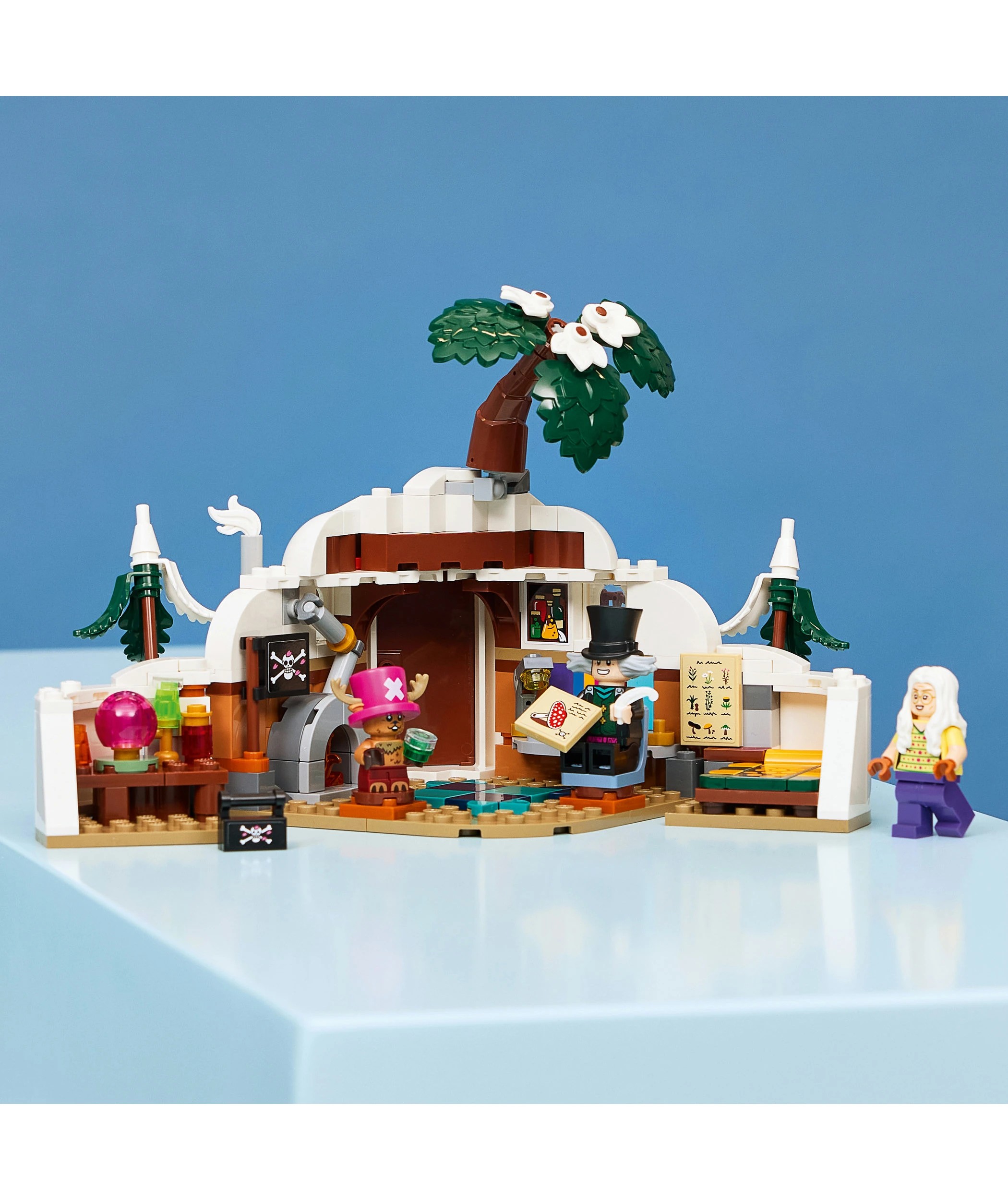 9 LEGO ONE PIECE Dr. Hiriluk's Hideout 75641, 9 of 10