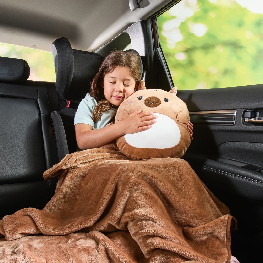 1 2-in-1 Capybara Travel Blanket and Pillow, 1 of 6