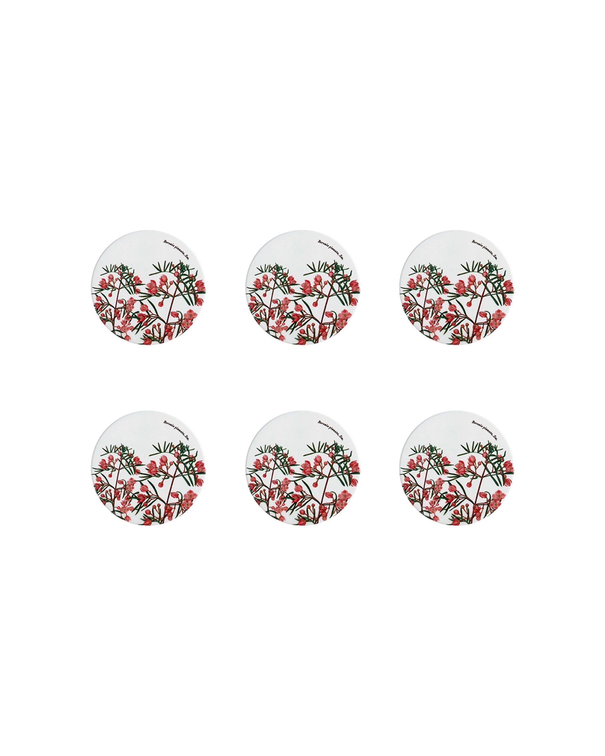 1 Maxwell & Williams 6PK Royal Botanic Gardens Victoria Coaster 9.5cm Ceramic Cork Backing Coasters Set - Multi, 1 of 1