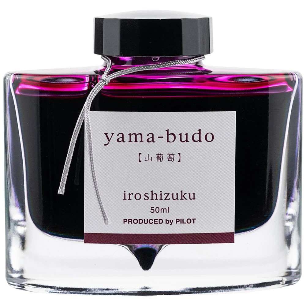 2 PILOT Iroshizuku Fountain Pen Ink 50mL Crimson Glory Vine, 2 of 3