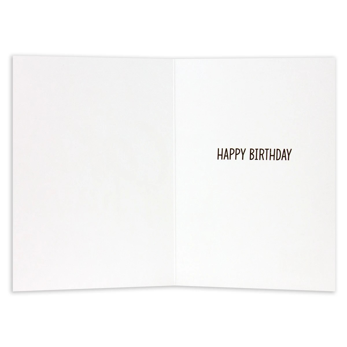 2 Creative Publishing by Hallmark Birthday Card - Eat Cake and Have Fun, 2 of 3