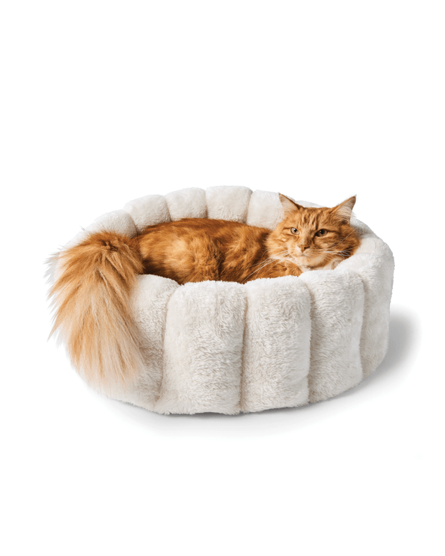 Cat Snuggle Bed C