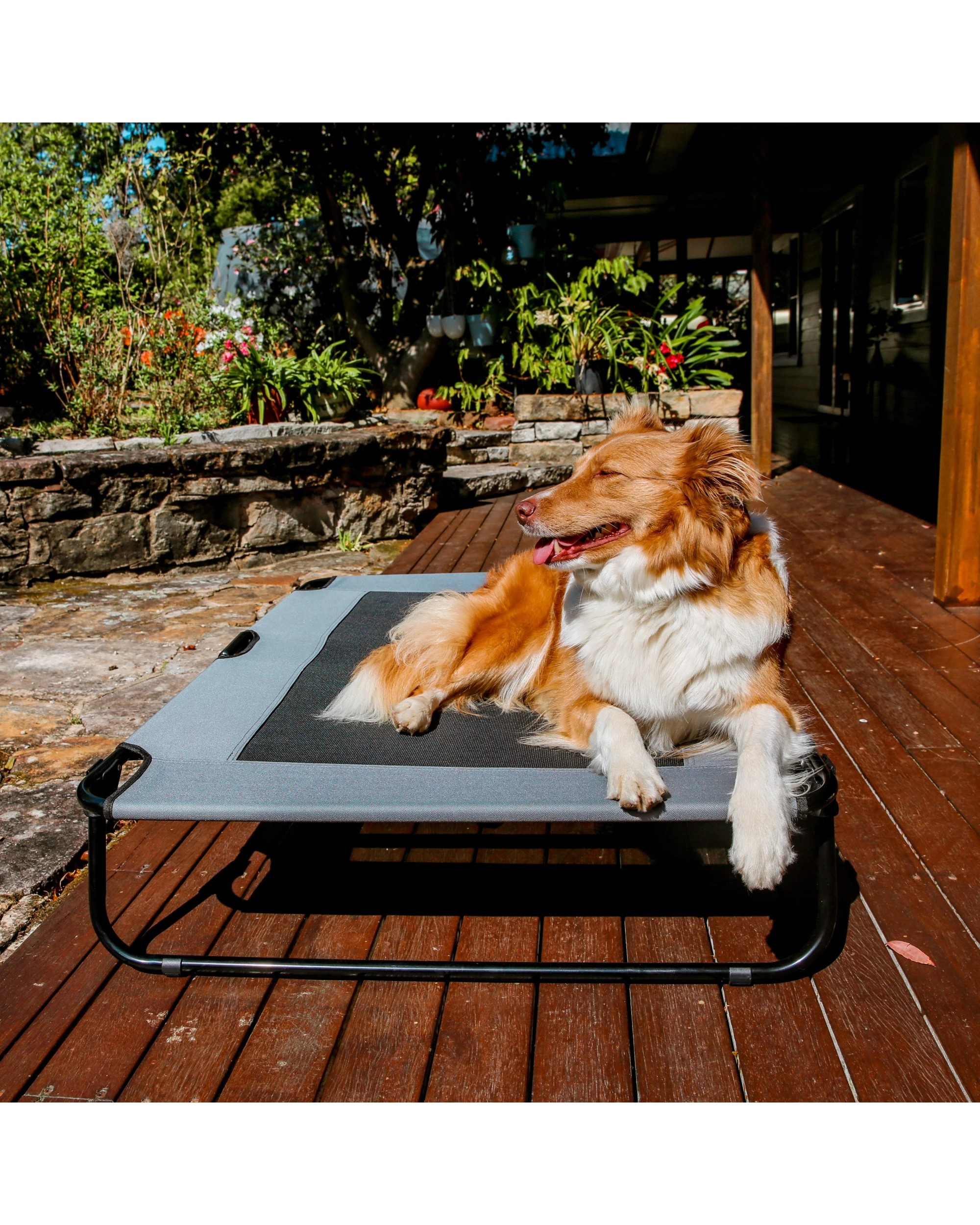 1 Charlie's Adventure Foldable Travel Trampoline Dog Bed 120x80x22cm - Grey, 1 of 10