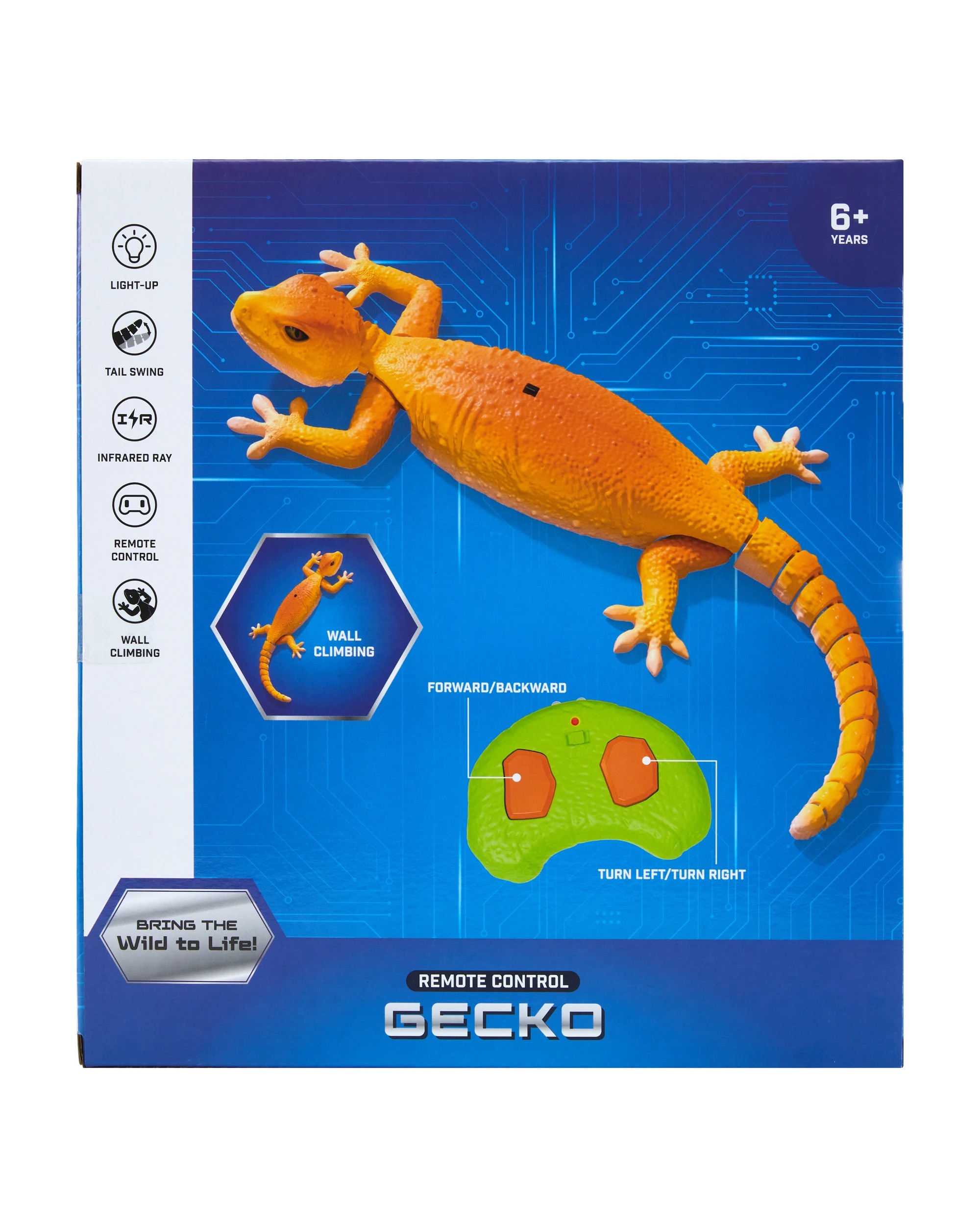 8 Remote Control Gecko, 8 of 8