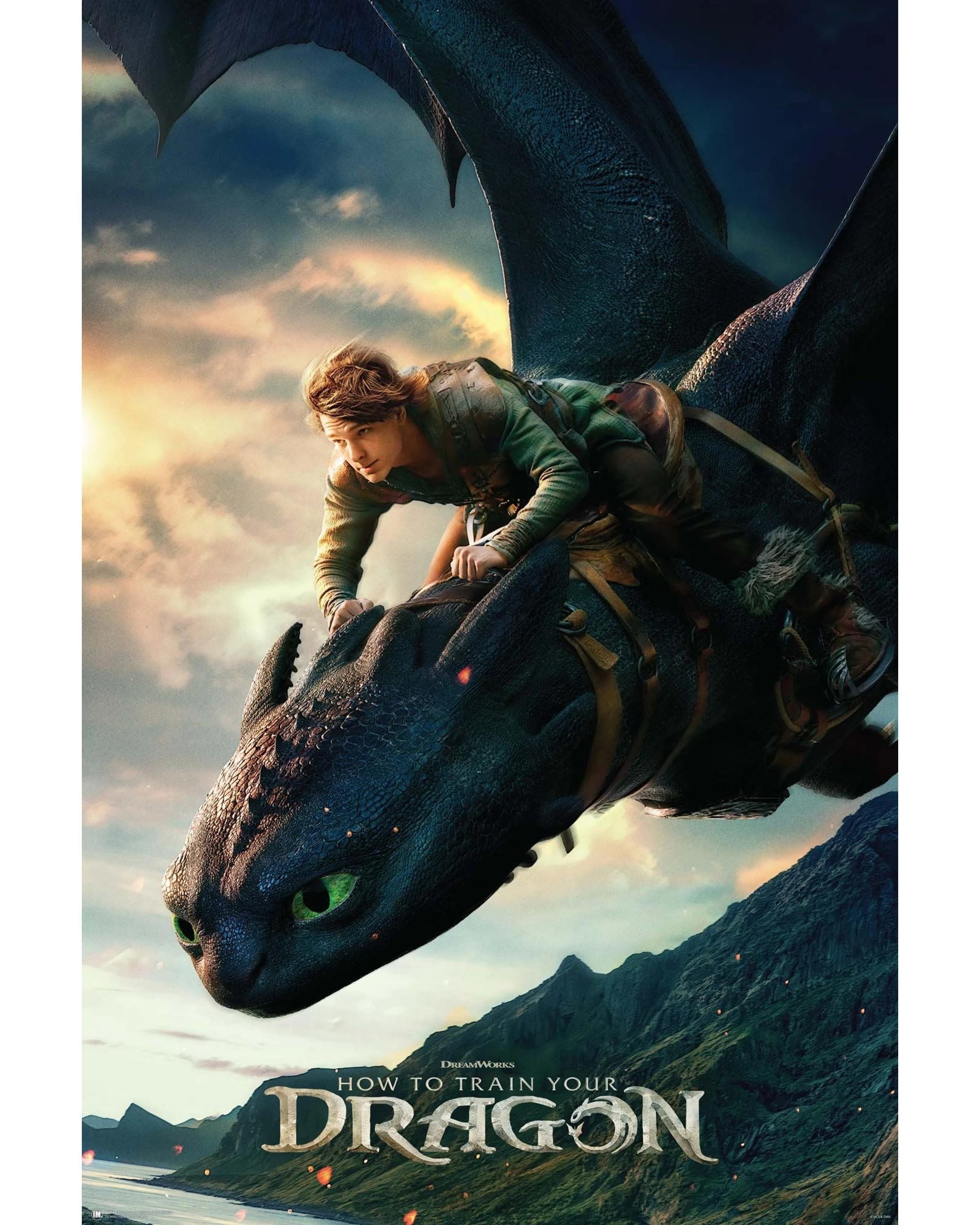 1 How to Train Your Dragon Live Action Regular Poster, 1 of 1